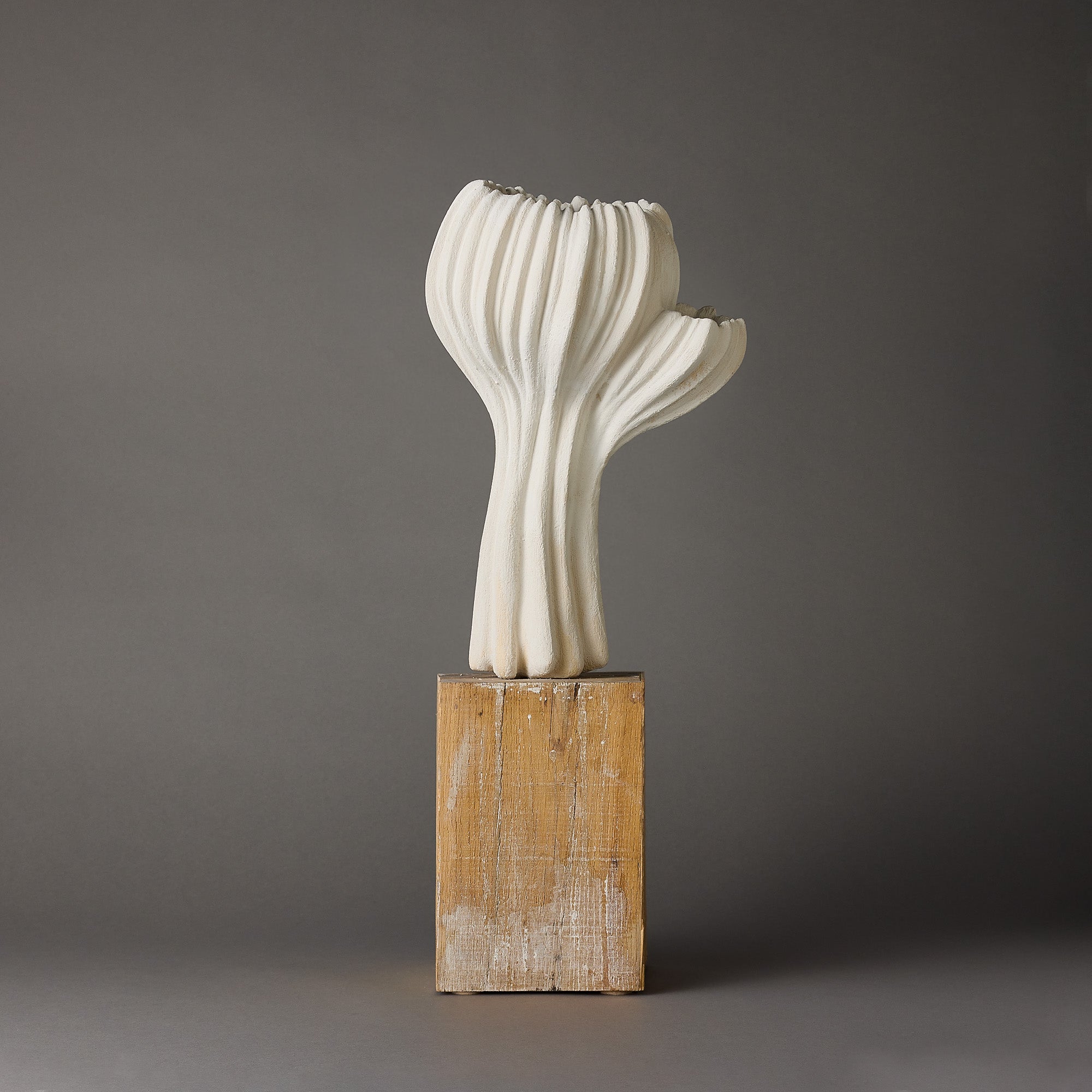 Alain Deswarte | Sculptural Forms | Ivory 1