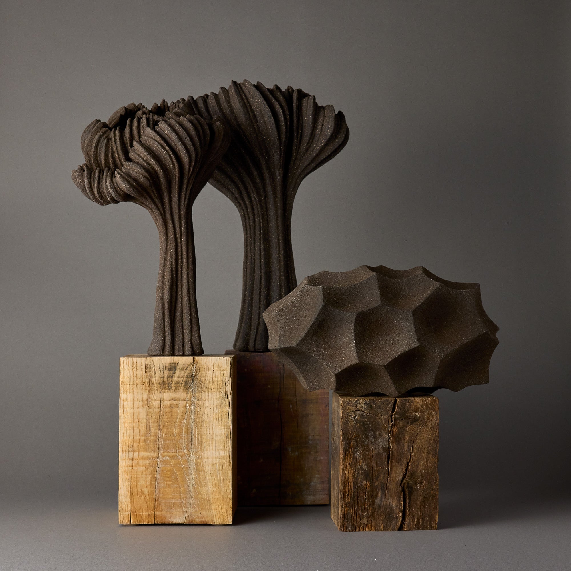 Alain Deswarte | Sculptural Forms | Black 6