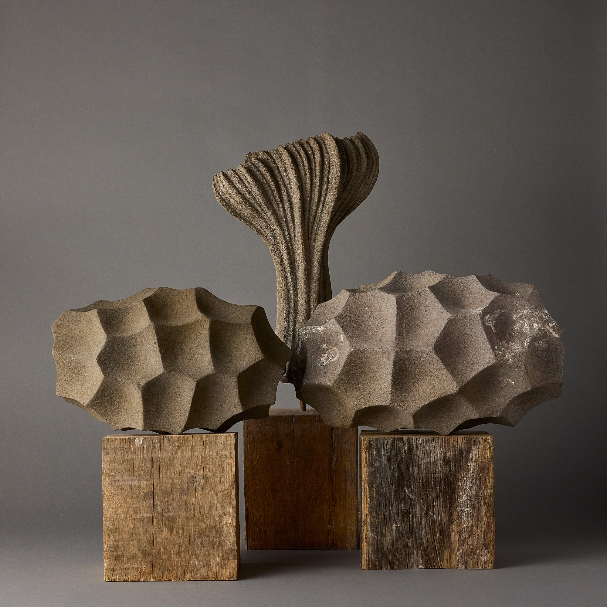 Alain Deswarte | Sculptural Forms | Taupe 1