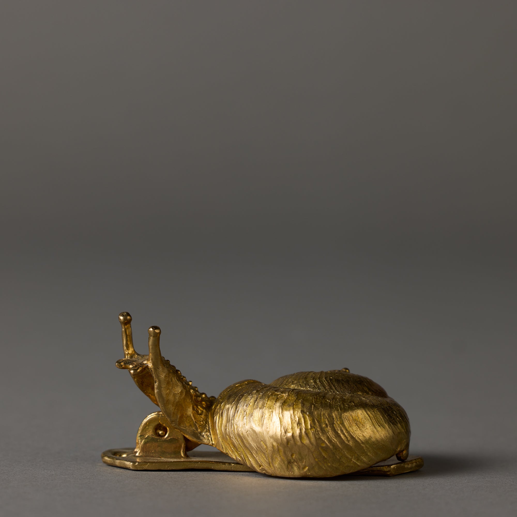 Animal Door Knocker | Snail