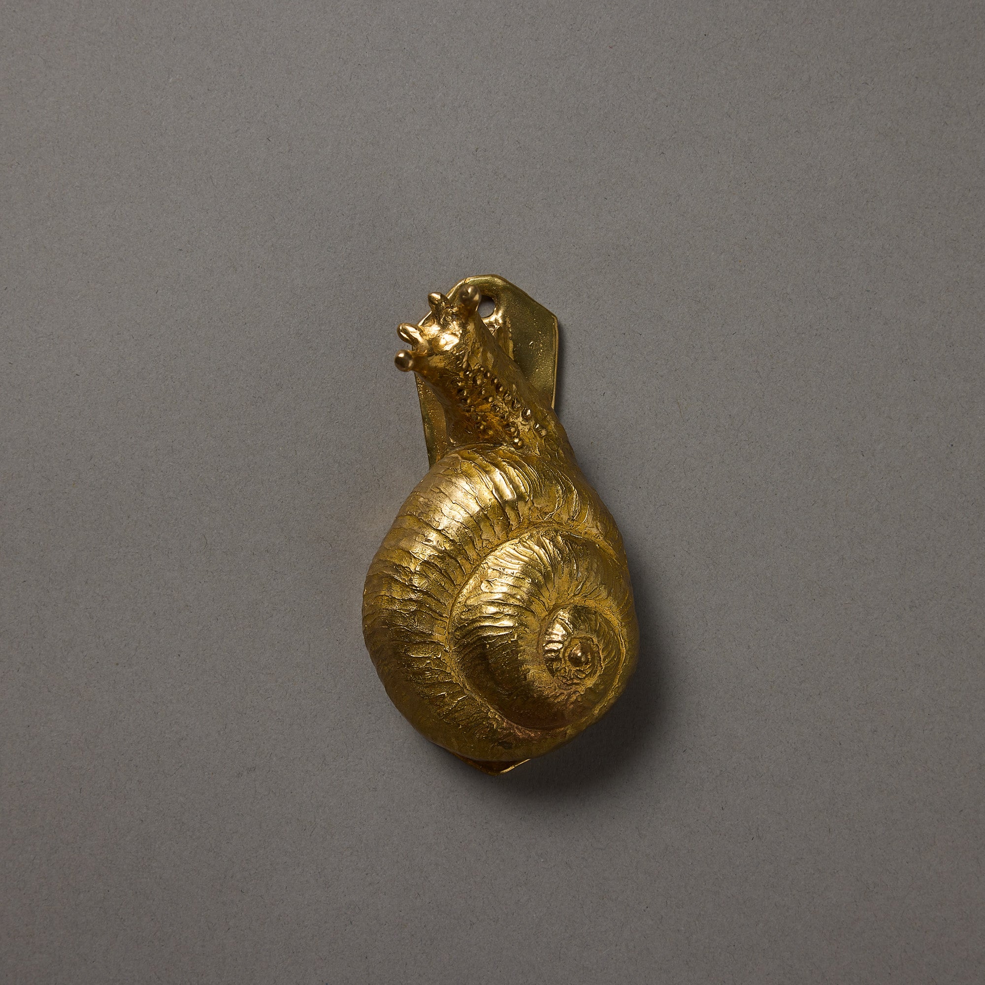 Animal Door Knocker | Snail