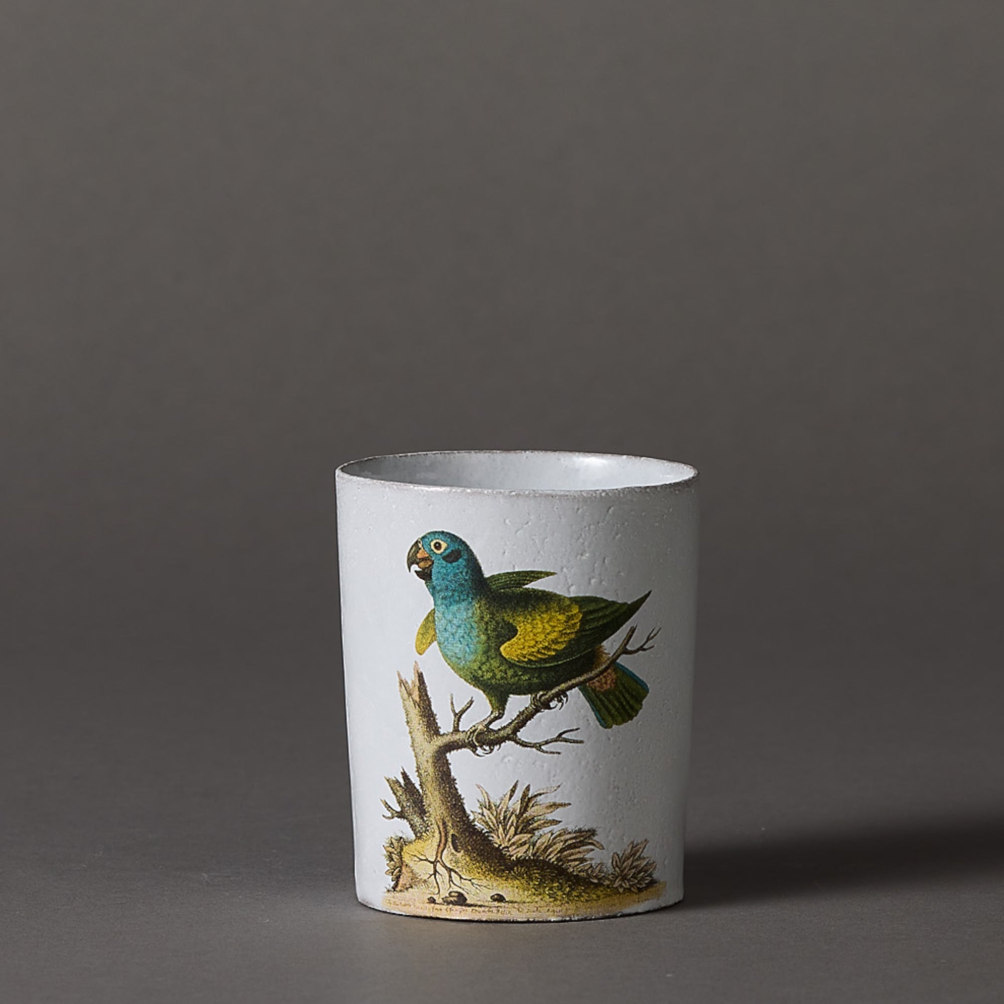 Astier de Villatte x John Derian | Cup | Parrot