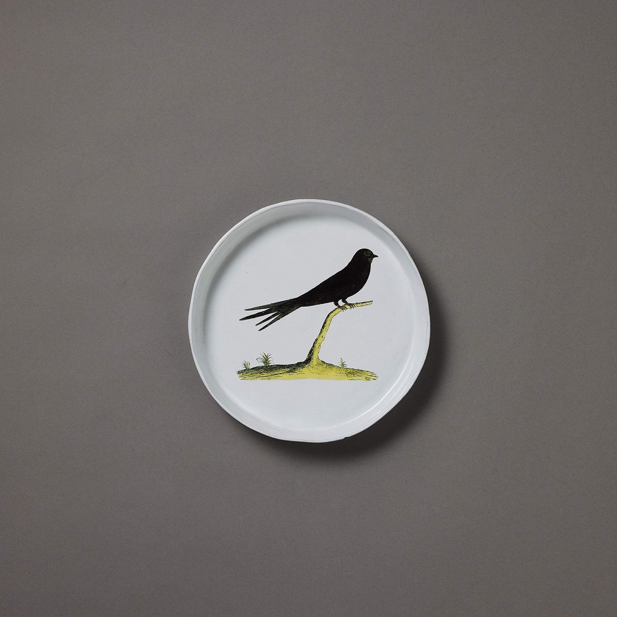 Astier de Villatte x John Derian | Dish | Swift