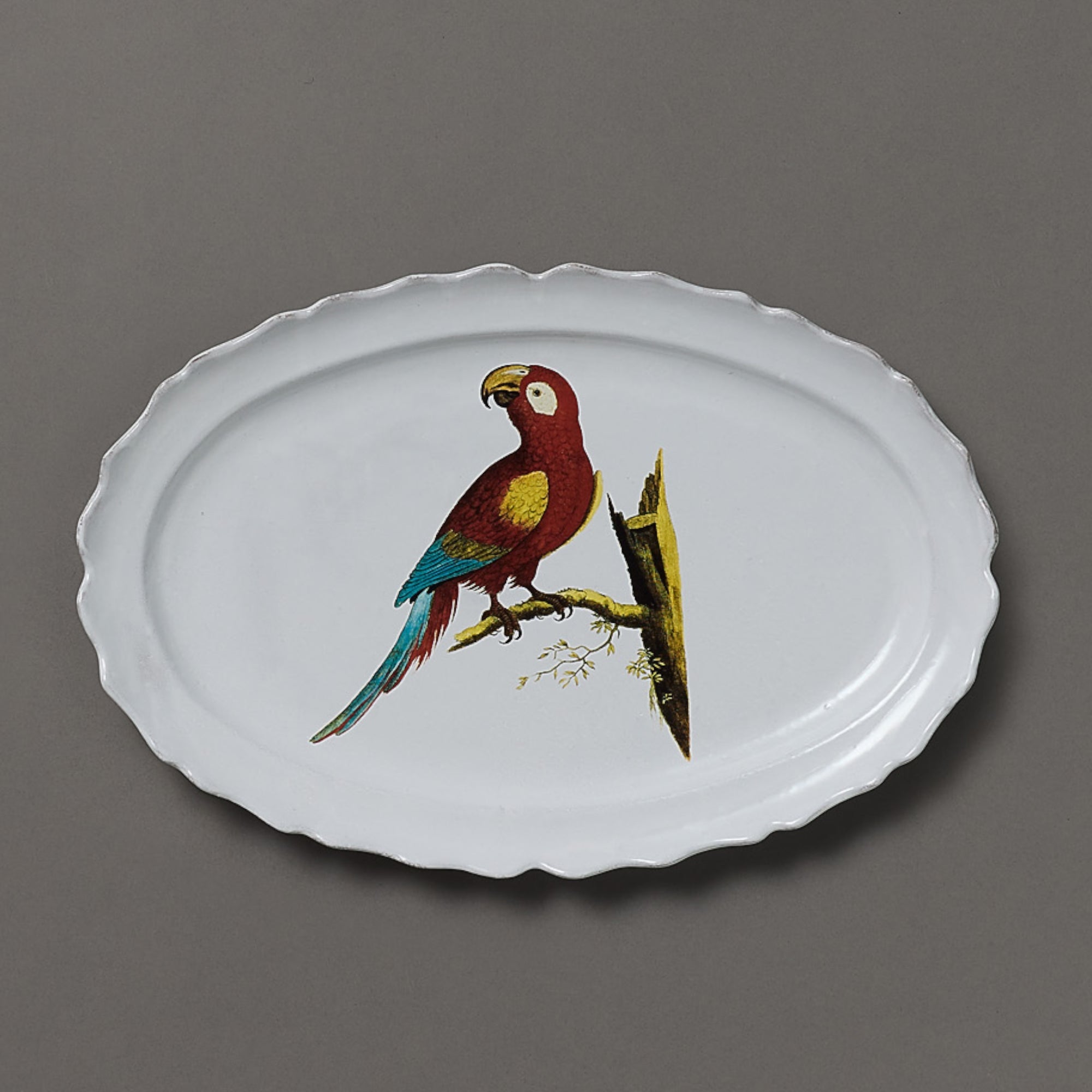 Astier de Villatte x John Derian | Oval Platter | Parrot