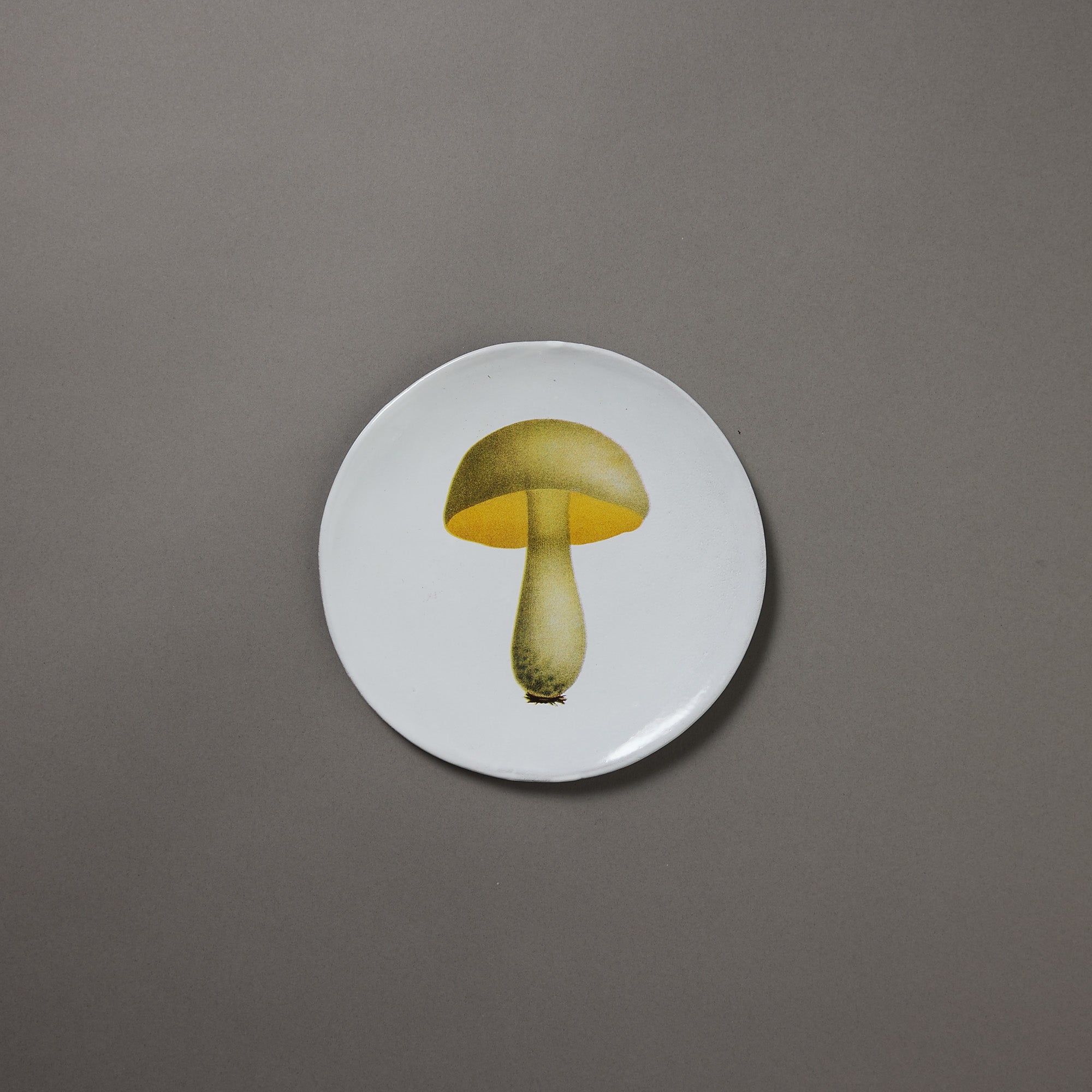 Astier de Villatte x John Derian | Plate | Bolet Blanchatre