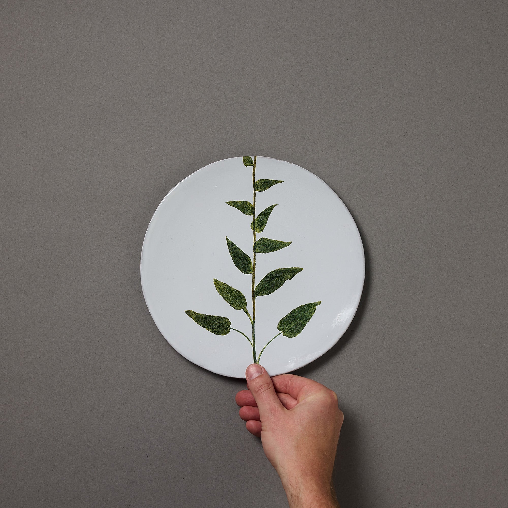 Astier de Villatte x John Derian | Plate | Campanula