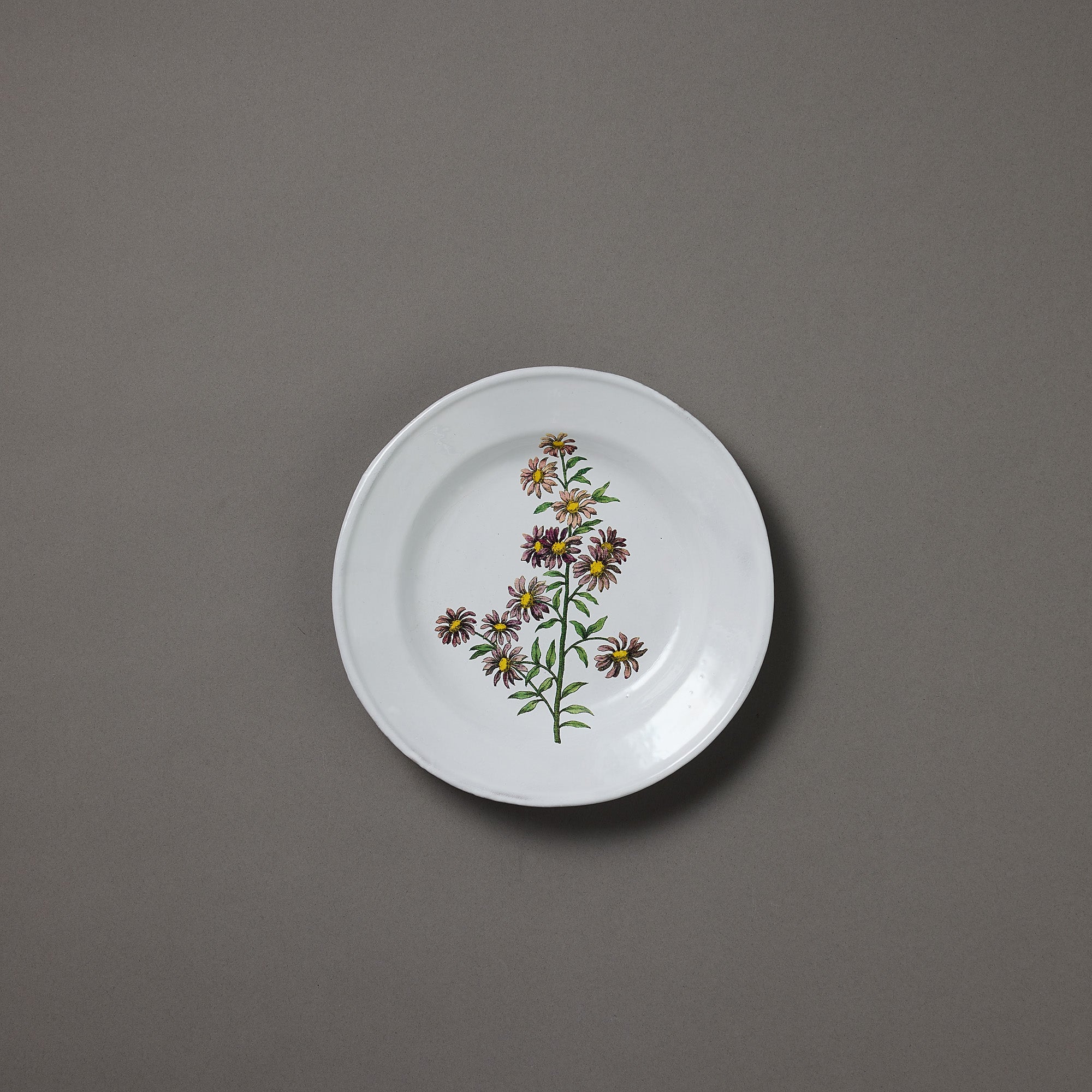 Astier de Villatte x John Derian | Plate | Carolina Star Flower
