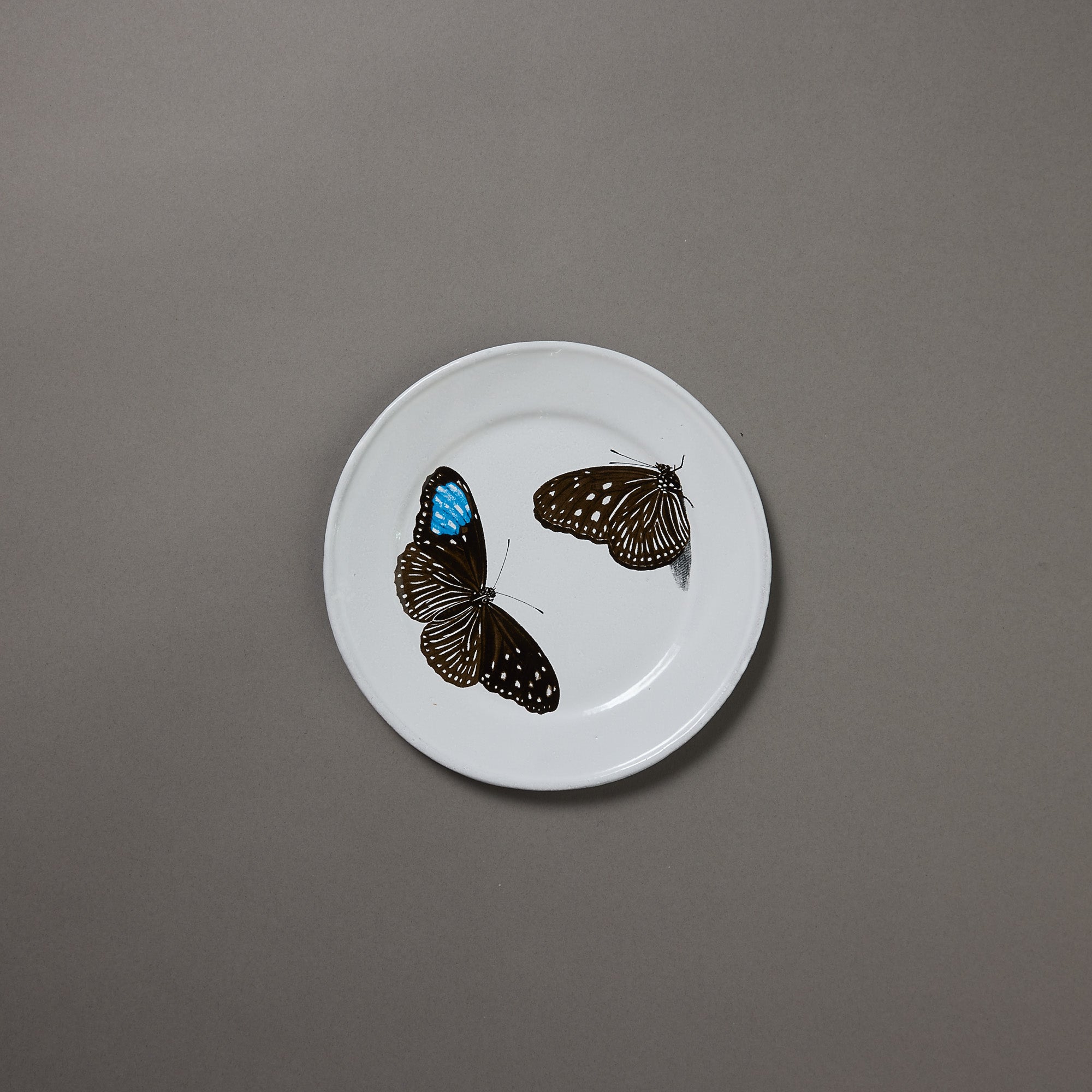 Astier de Villatte x John Derian | Plate | Medium Flying-Landed Butterfly