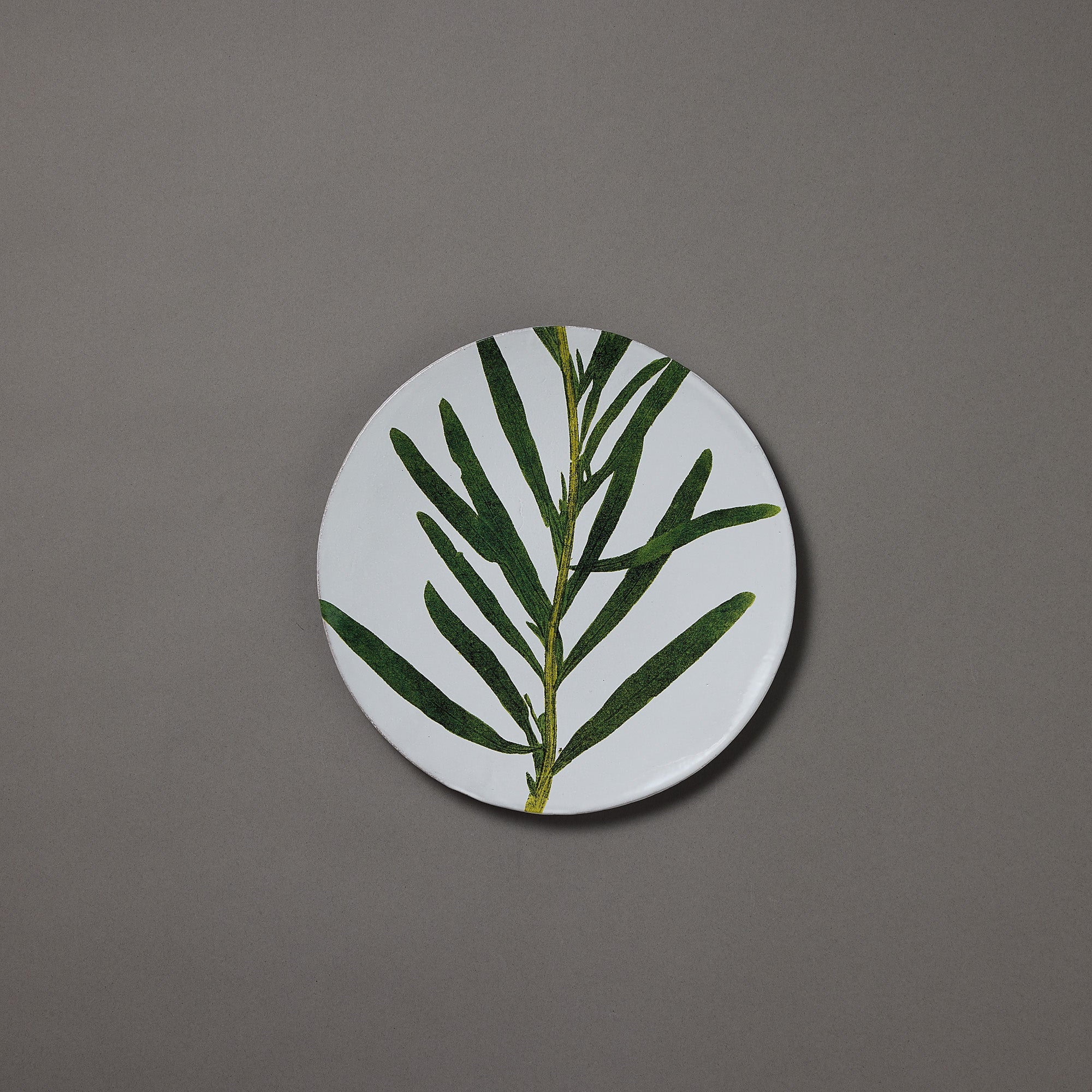 Astier de Villatte x John Derian | Plate | Reseda