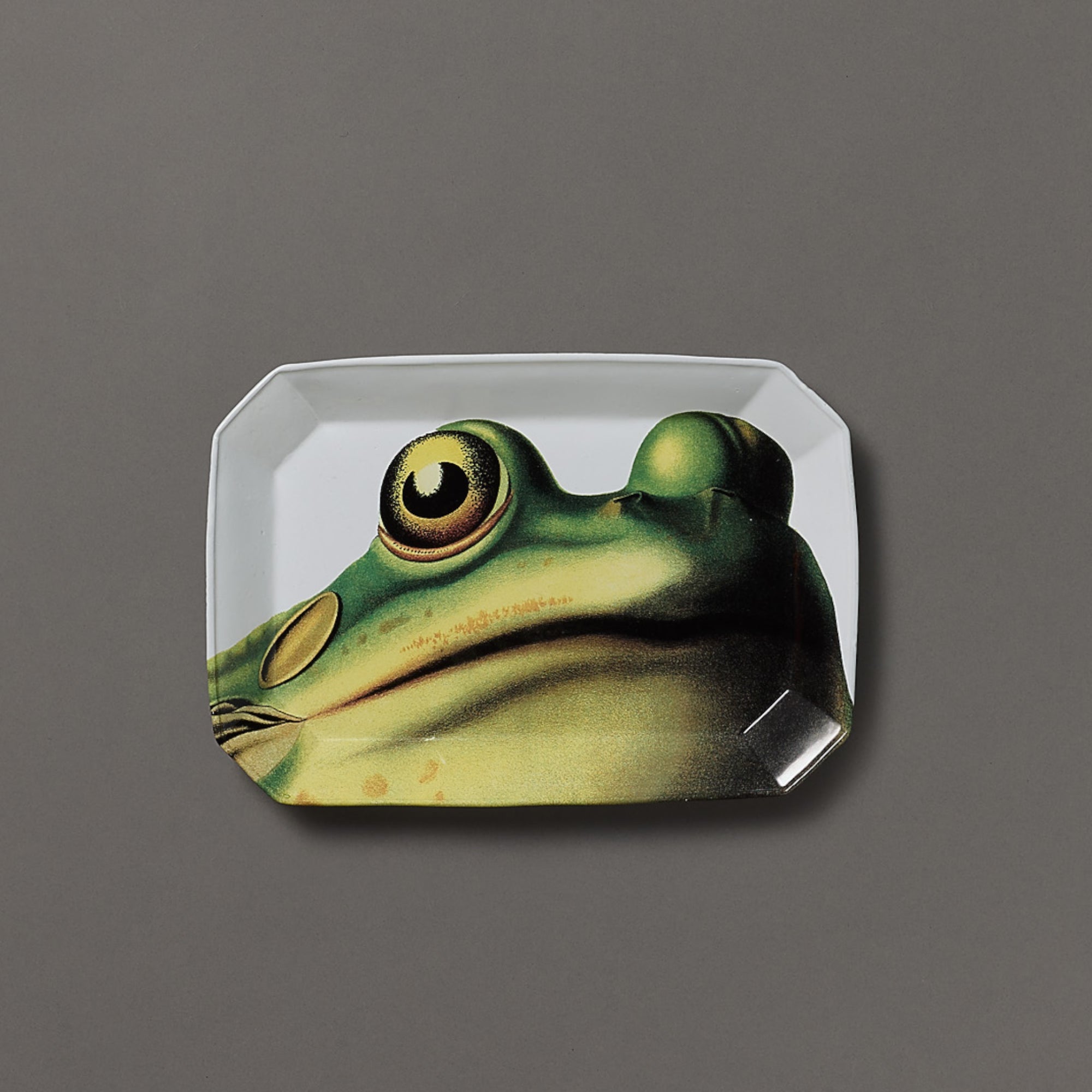 Astier de Villatte x John Derian | Platter | Frog