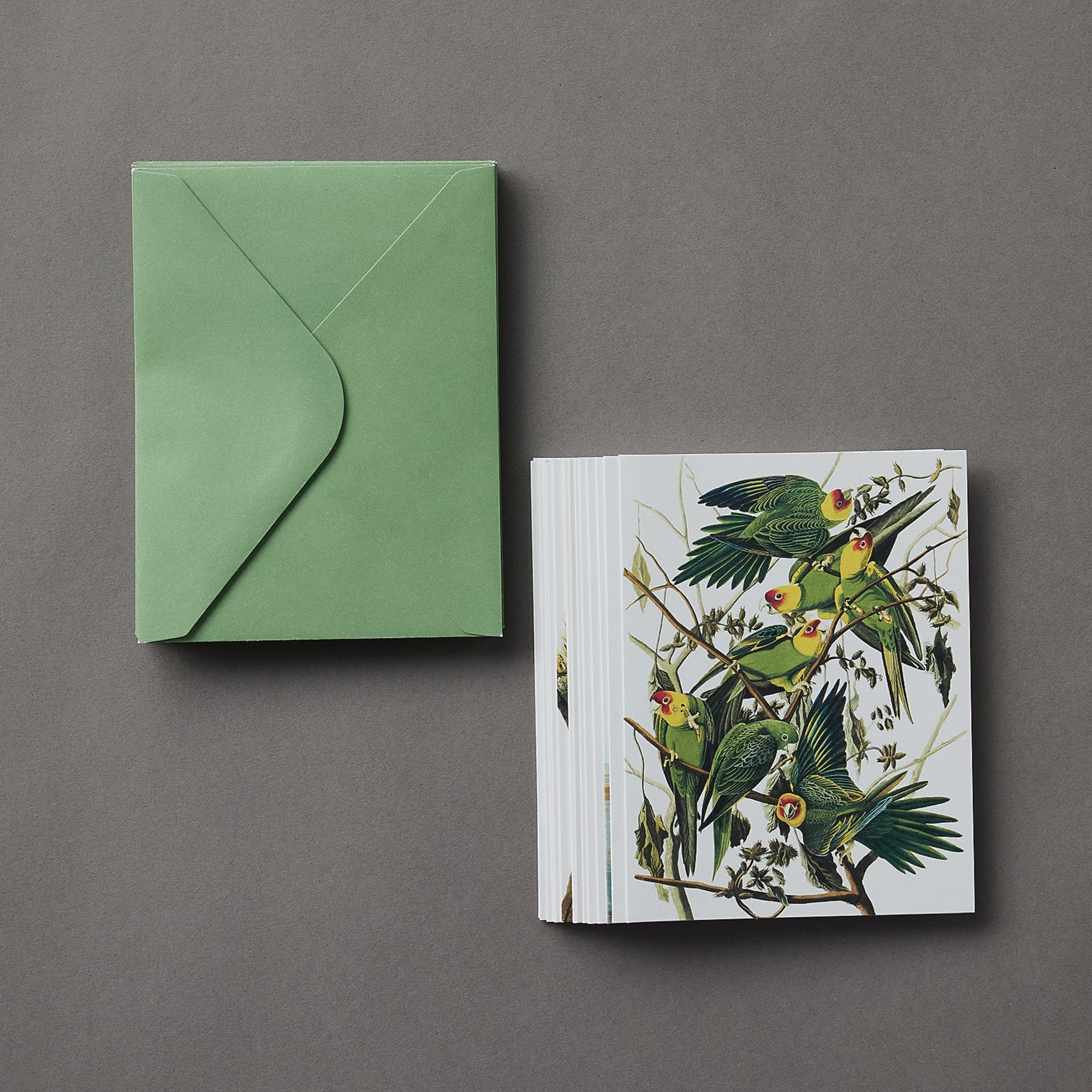 Audobon's Birds of America | Notecards