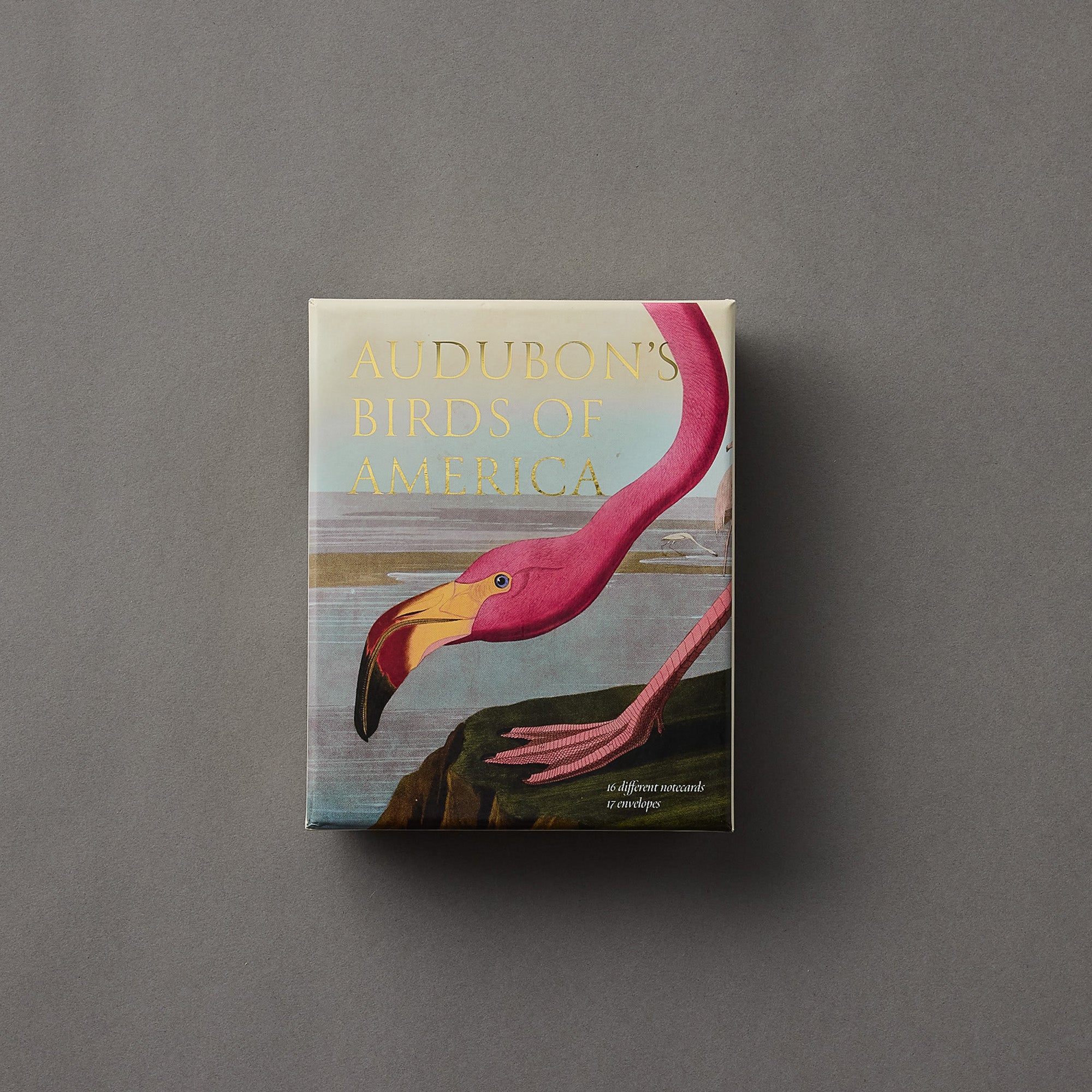 Audobon's Birds of America | Notecards
