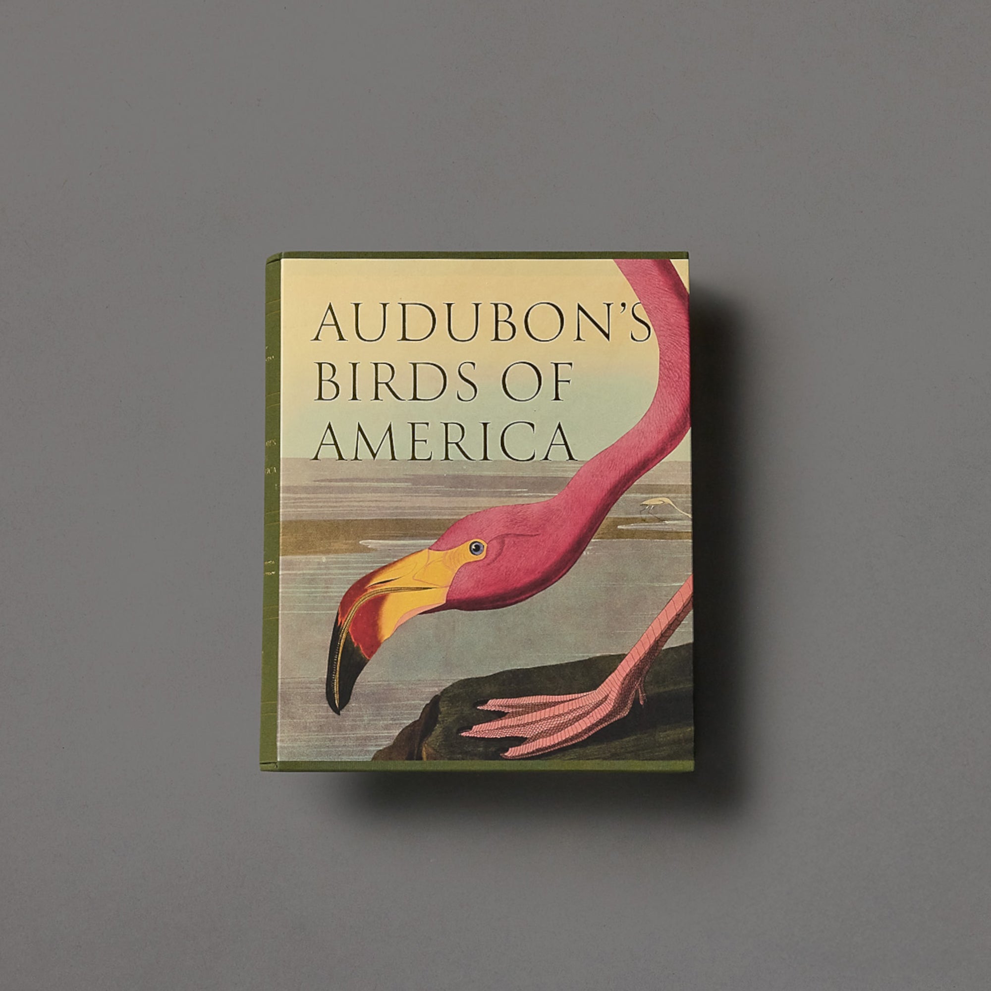 Audobon's Birds of America