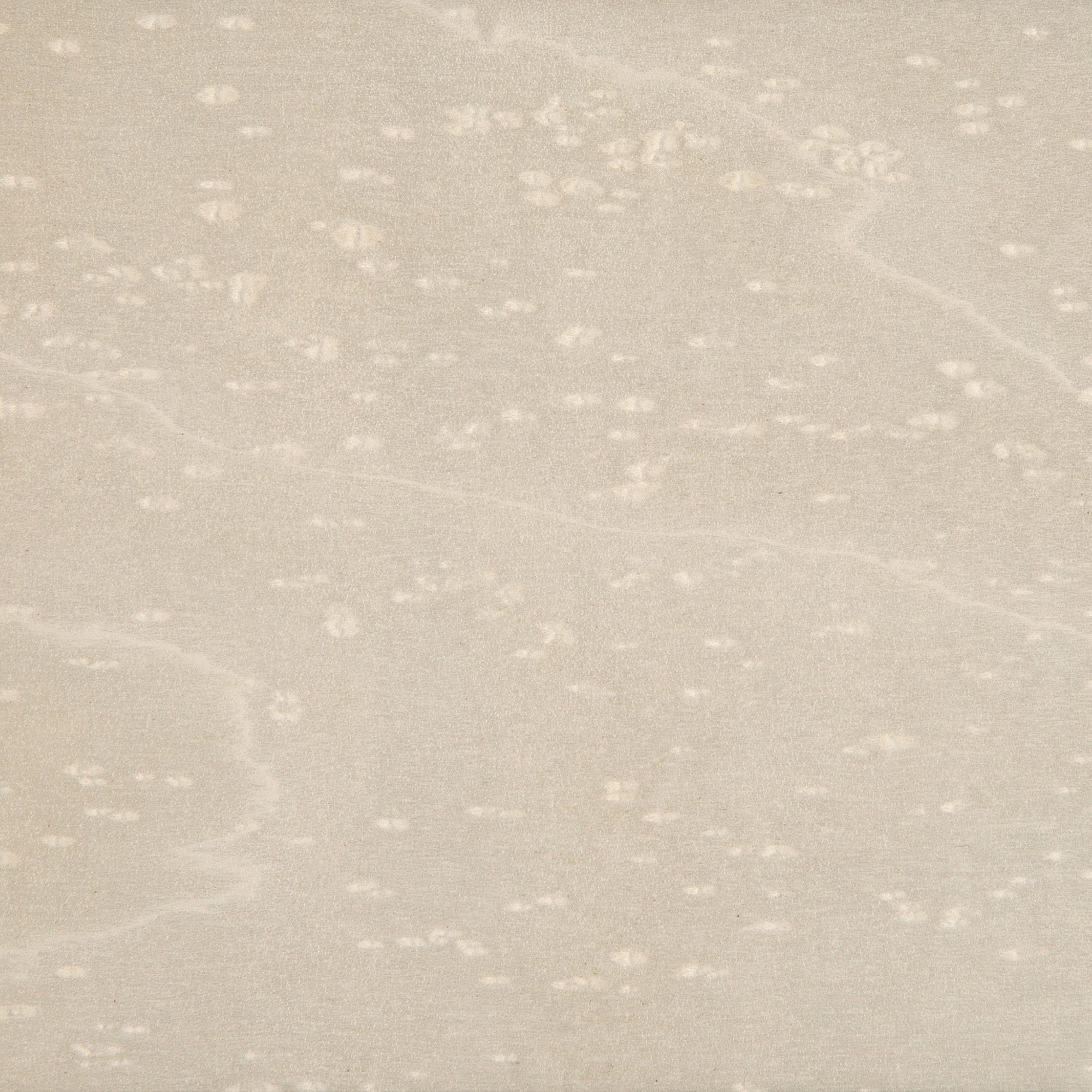 Wood Finish | Veneer | Snow White