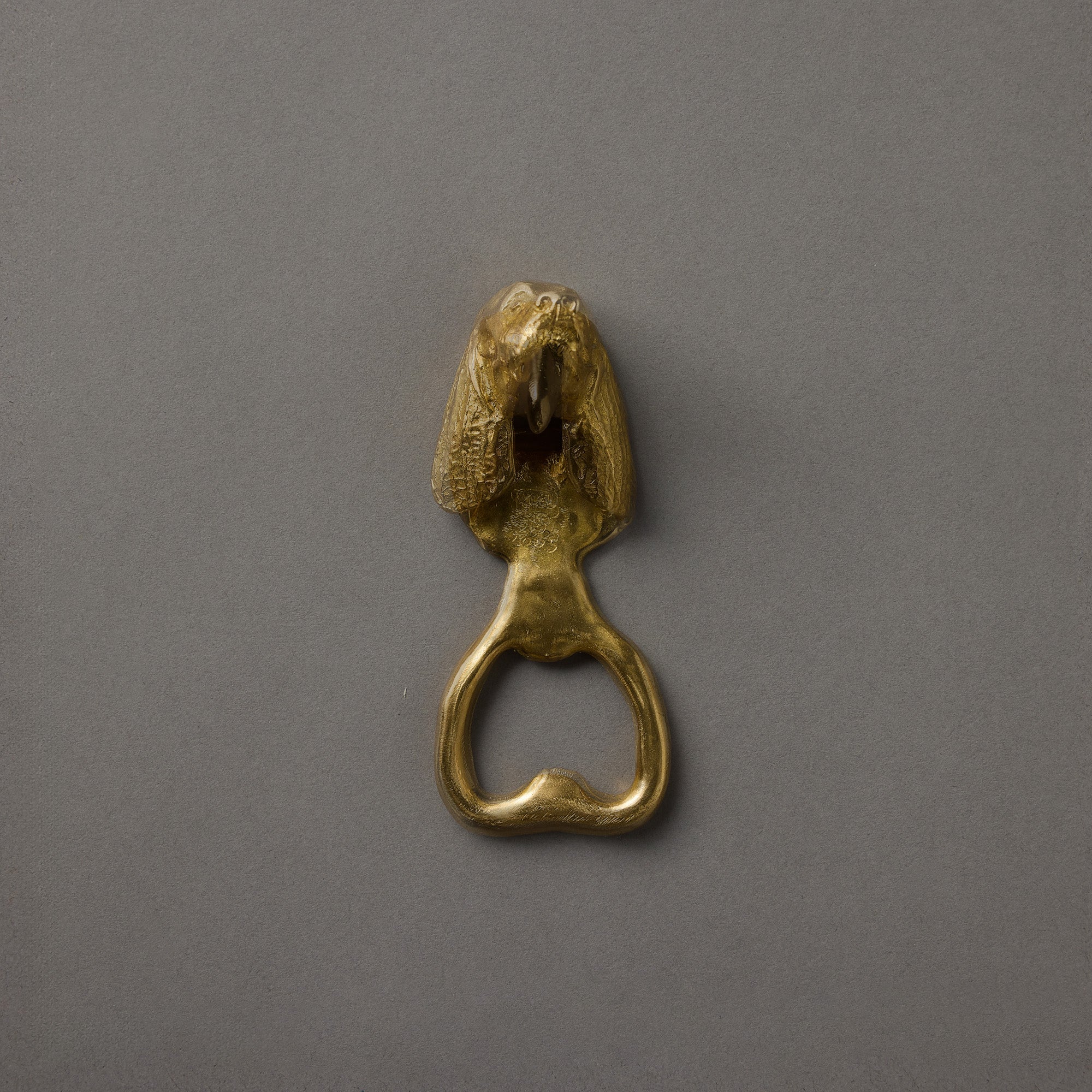 Bottle Opener | English Springer Spaniel