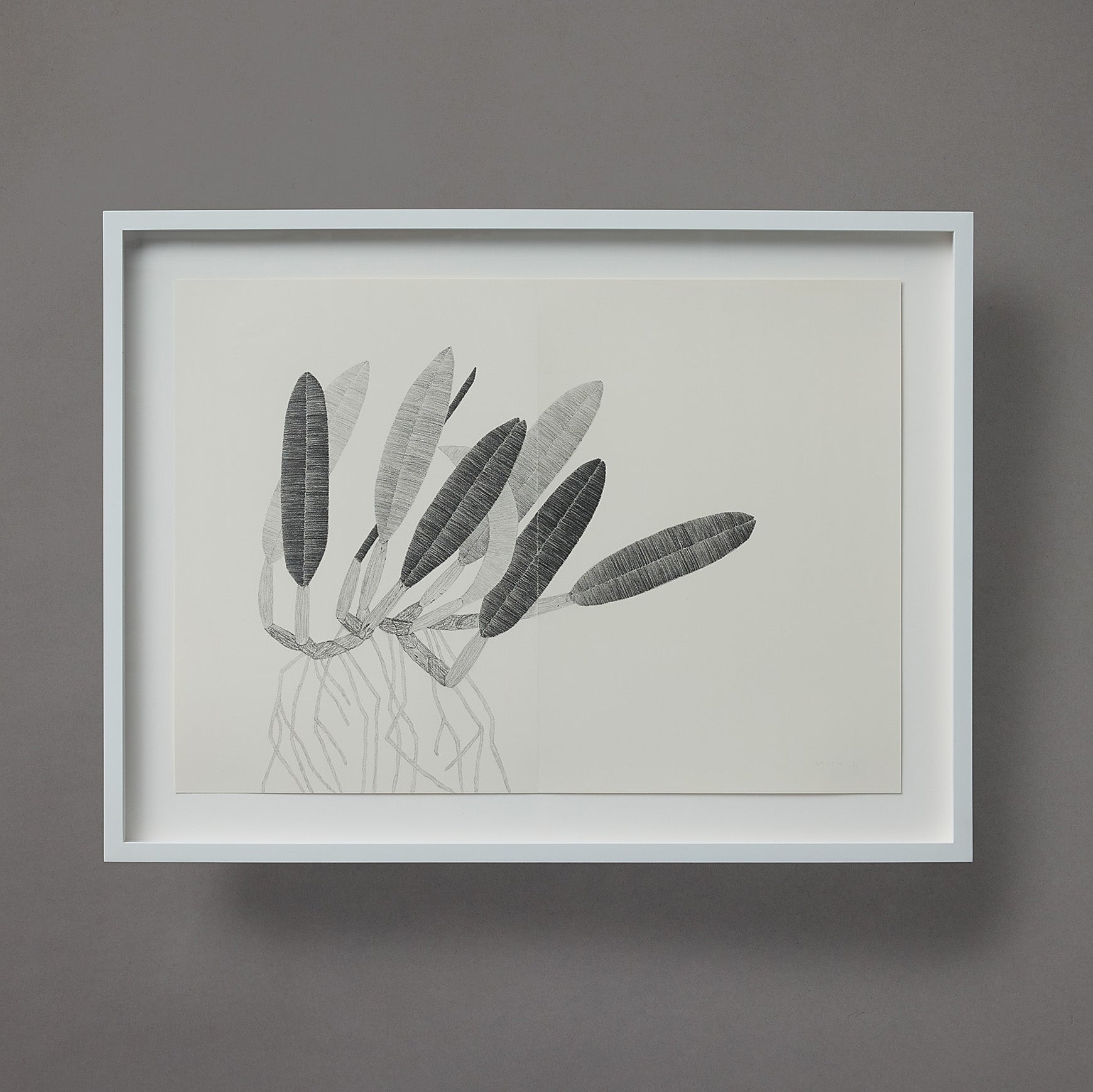Brett Smith | Orchid Series | 10