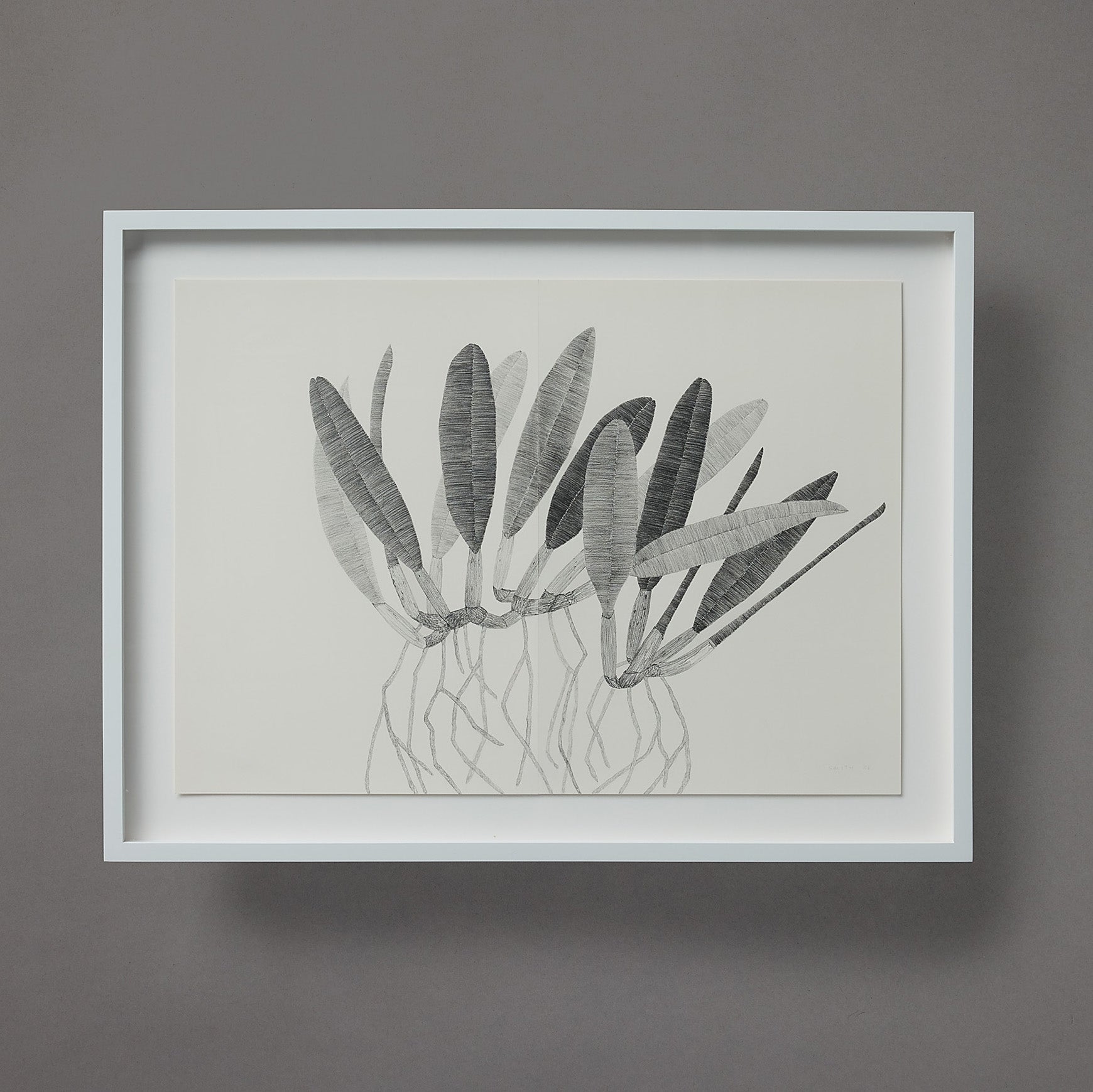 Brett Smith | Orchid Series | 12