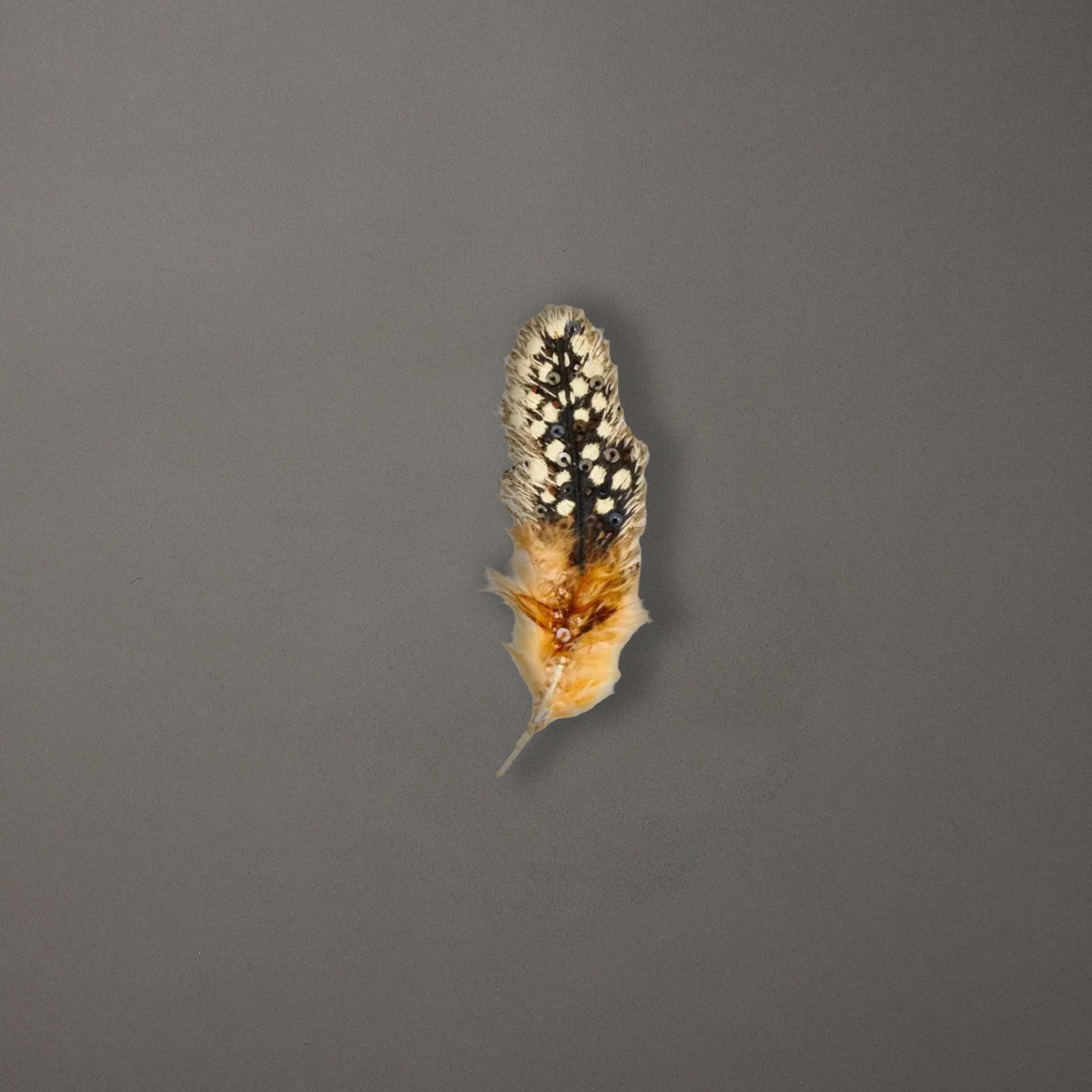 Guinea Feather Brooch Pin