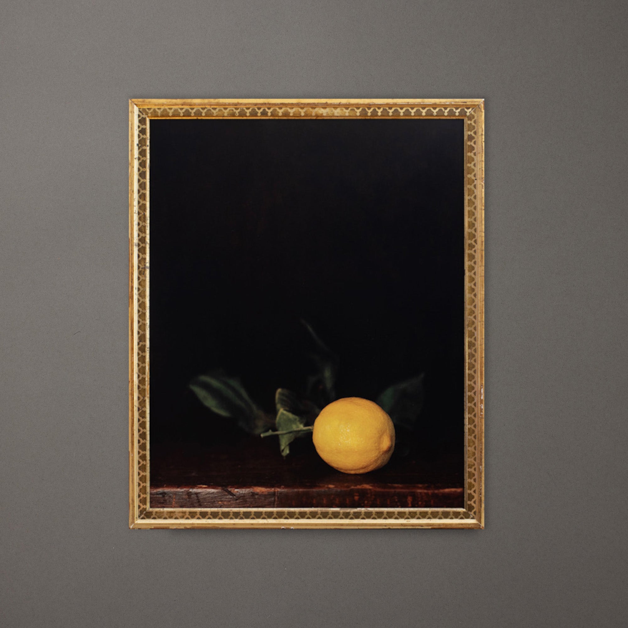 Jefferson Hayman | Winter Lemon | Framed