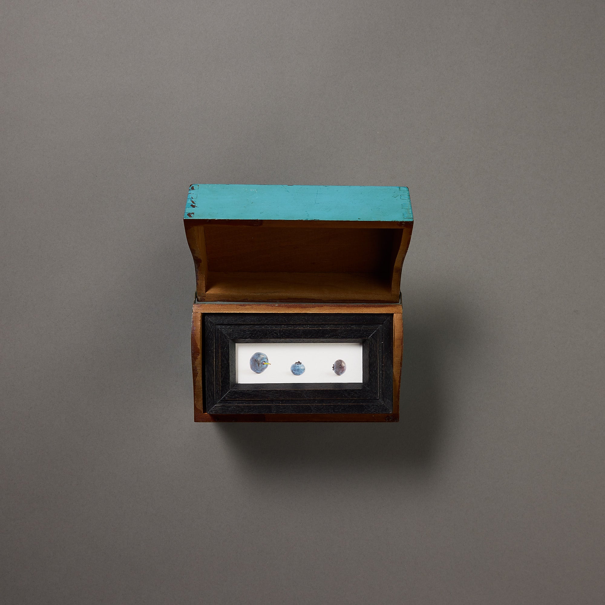 Jefferson Hayman | Three Blueberries | Box