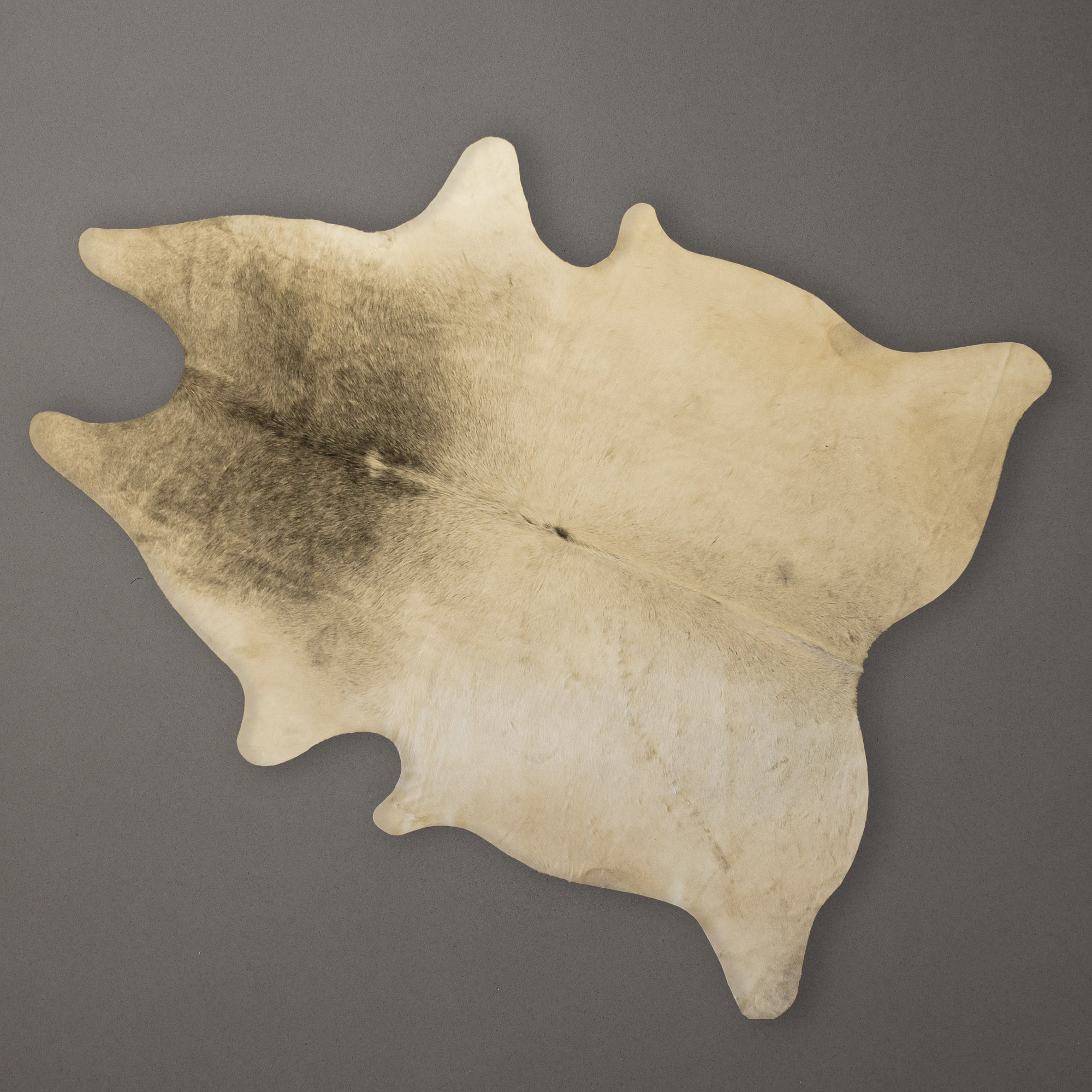 Nguni South African Cowhide