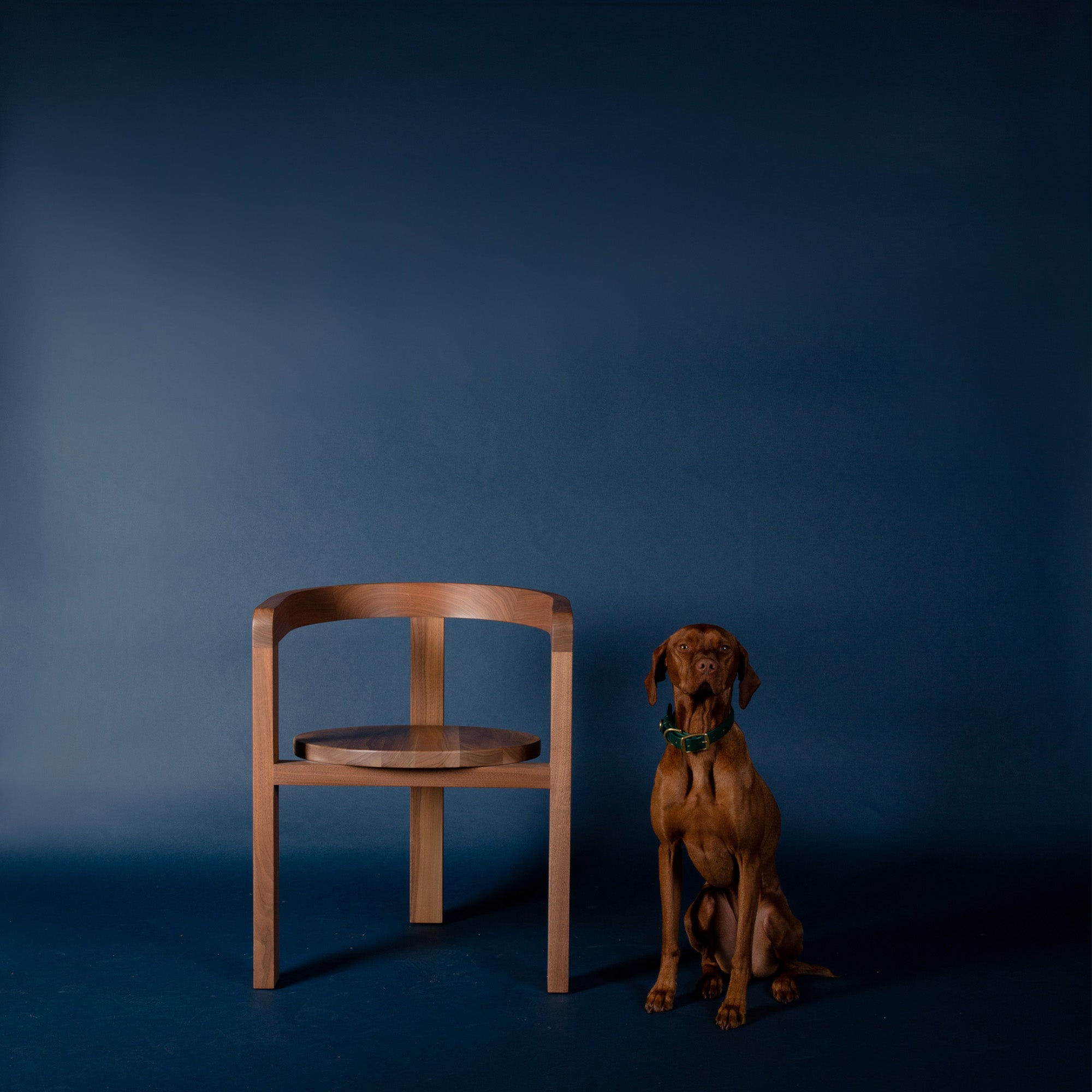 Over Under Clothing | Dog Collar