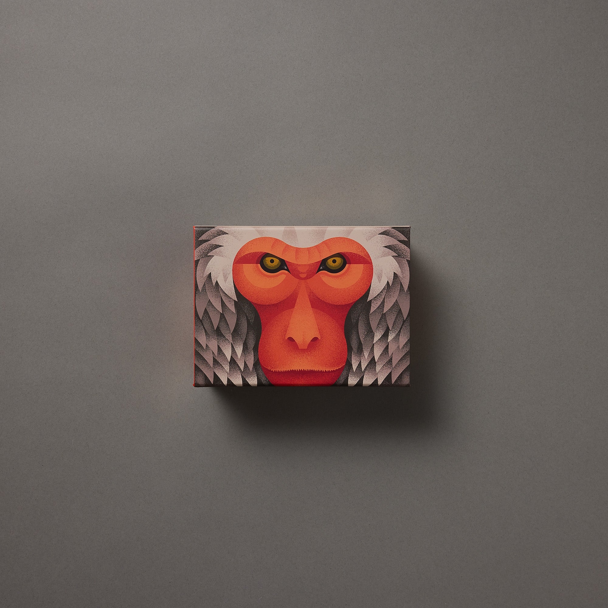 Primate Japanese Macaque Puzzle