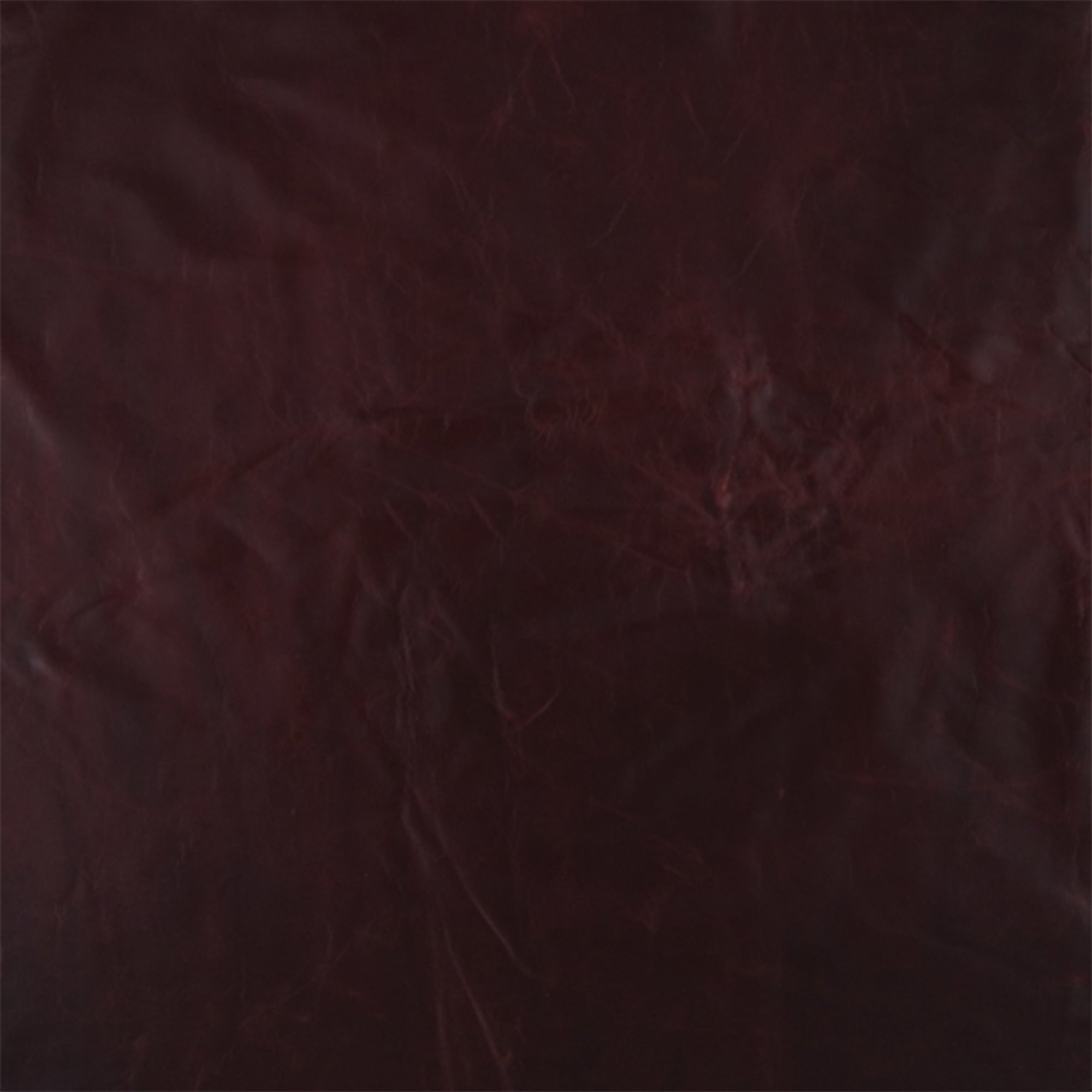 Grade 6 | Tampa Leather