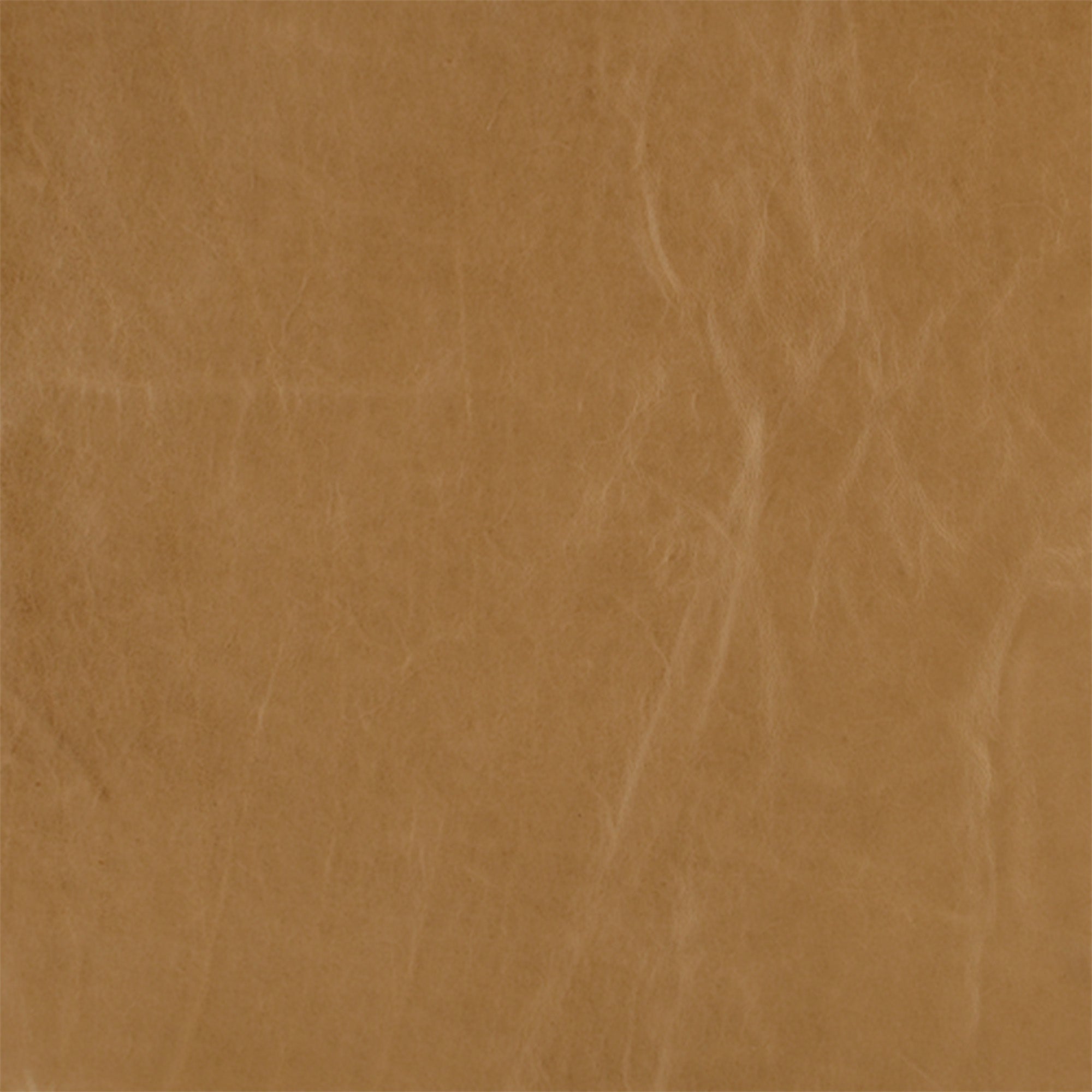 Grade 6 | Tampa Leather