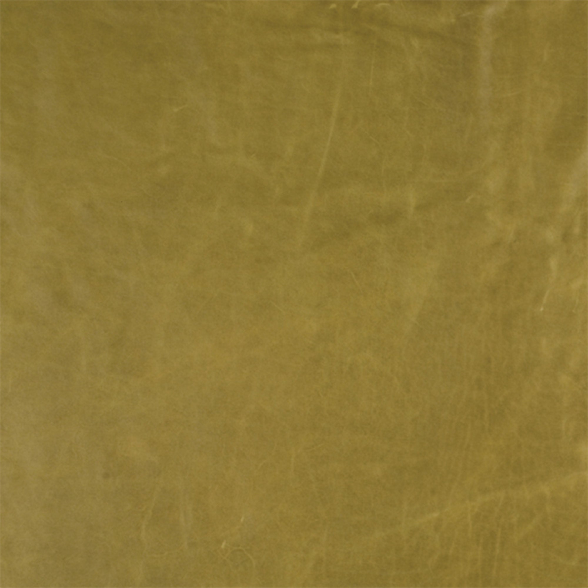 Grade 6 | Tampa Leather