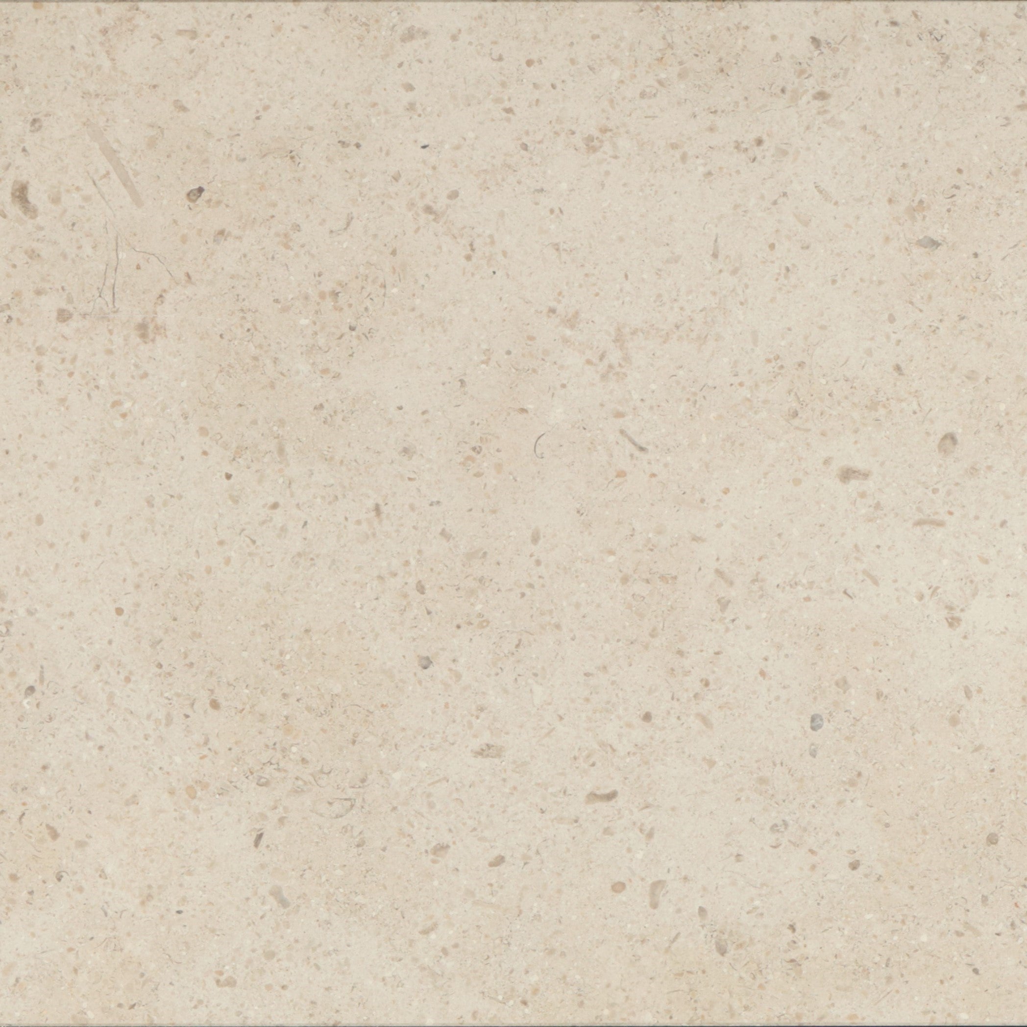 Stone | Gascogne Beige