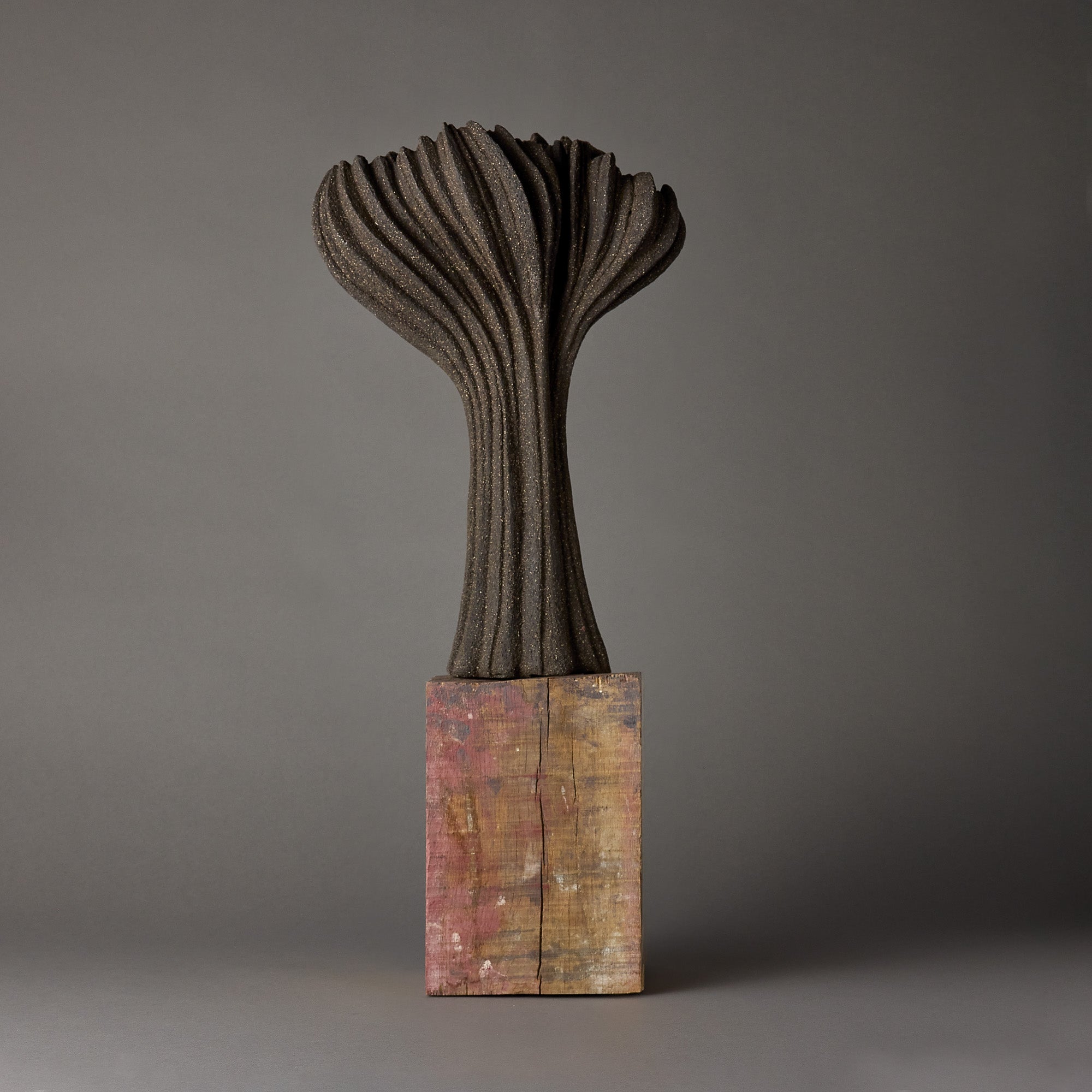 Alain Deswarte | Sculptural Forms | Black 2