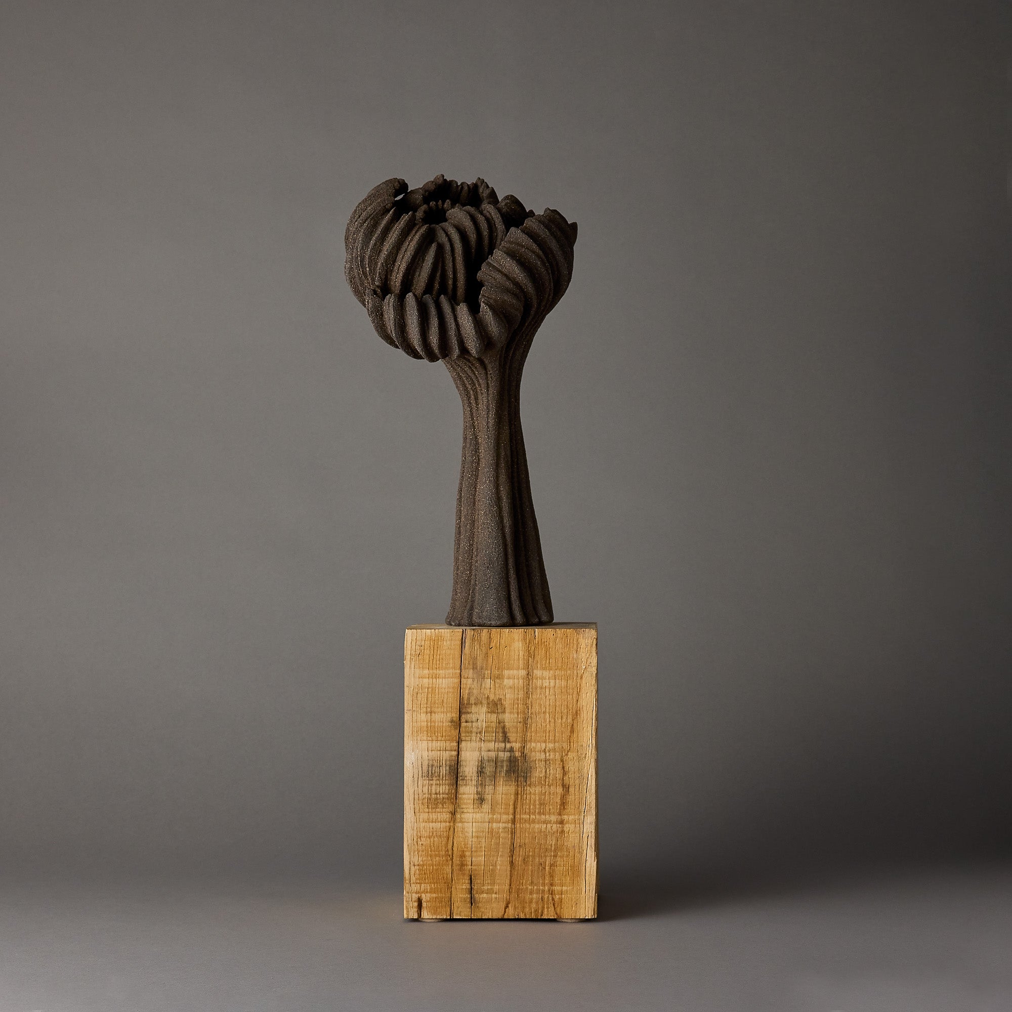 Alain Deswarte | Sculptural Forms | Black 4