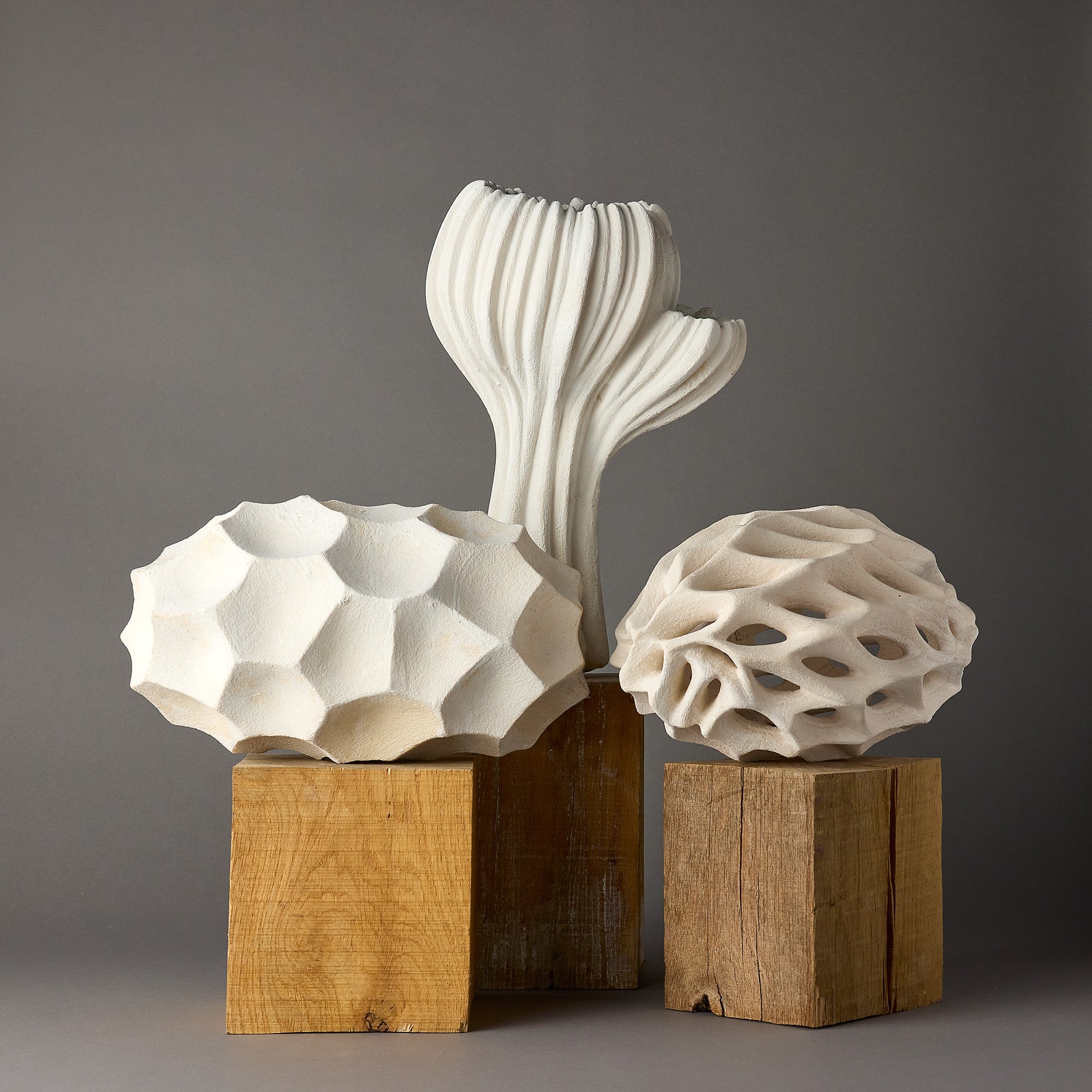 Alain Deswarte | Sculptural Forms | Ivory 3