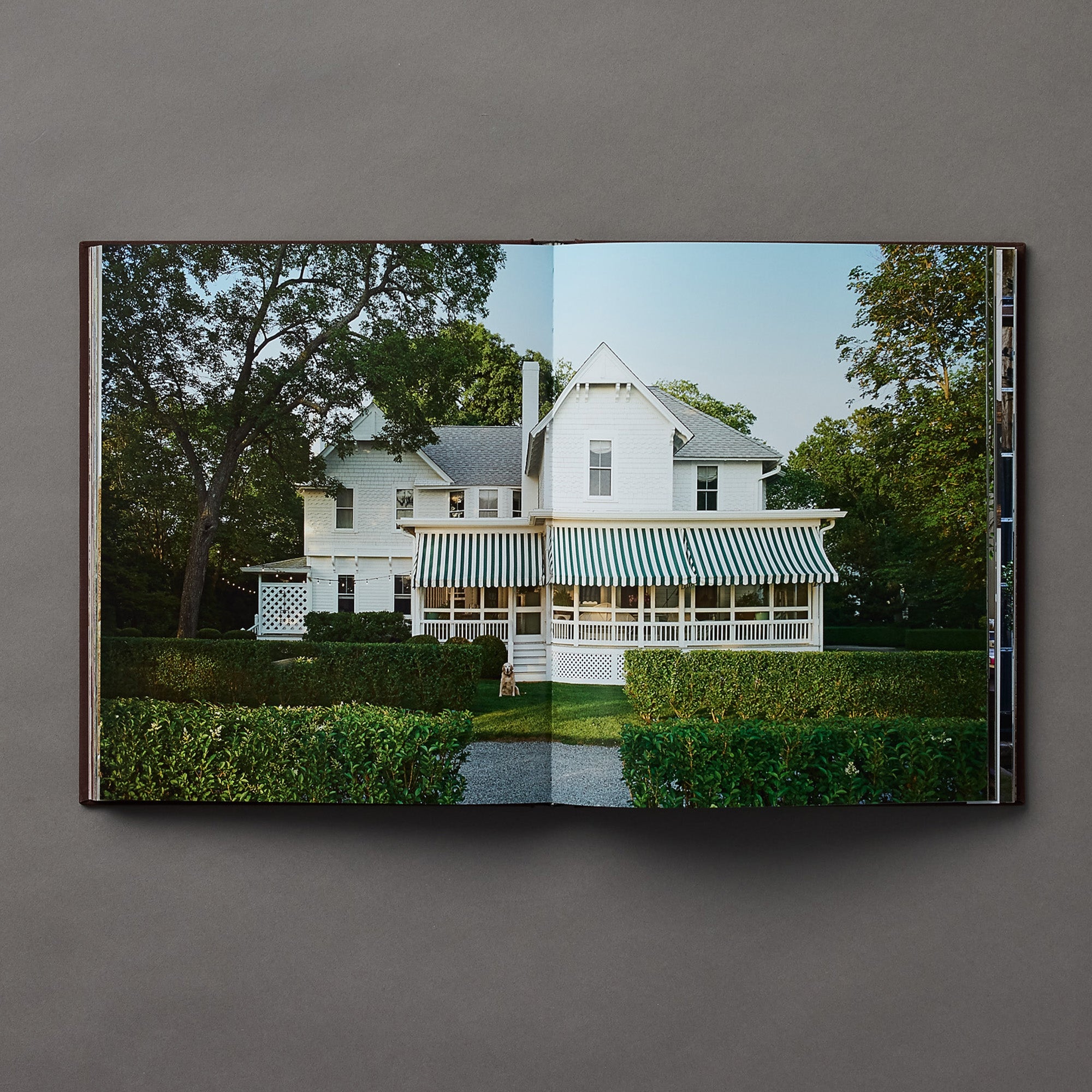 Alfredo Paredes | At Home