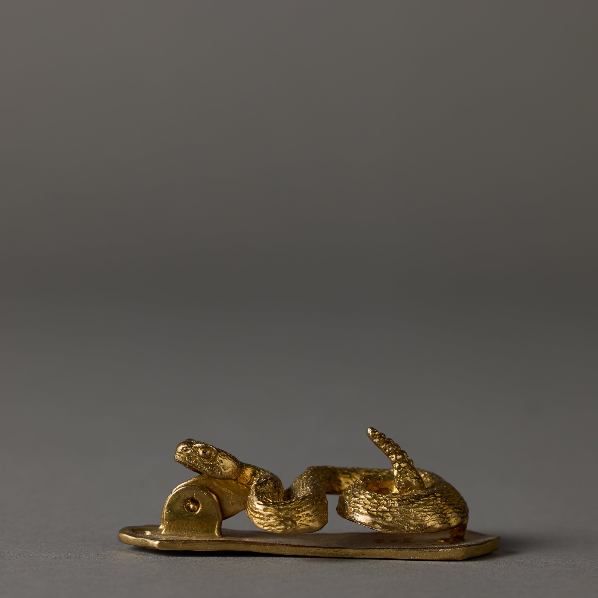 Animal Door Knocker | Snake