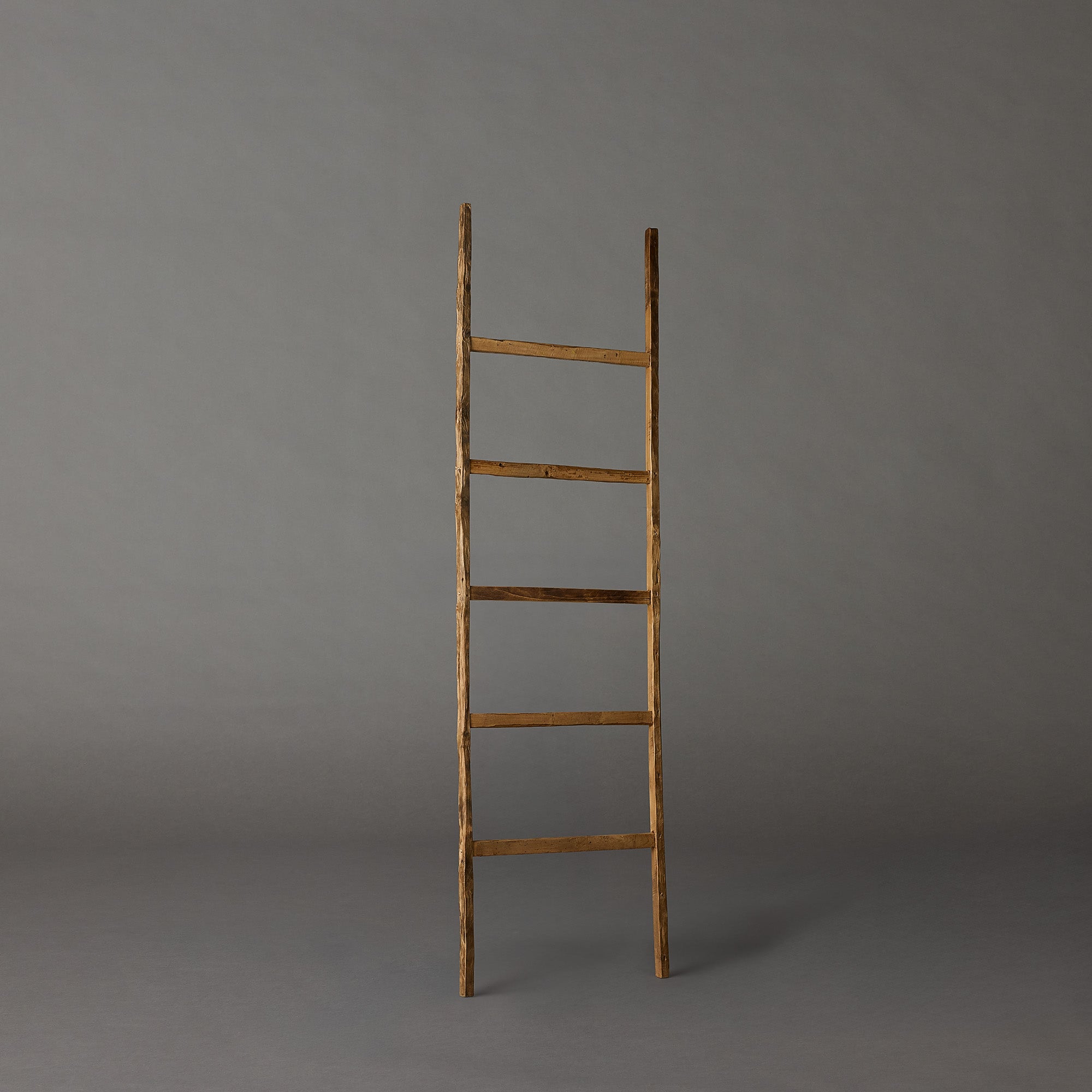 Antique Ladder