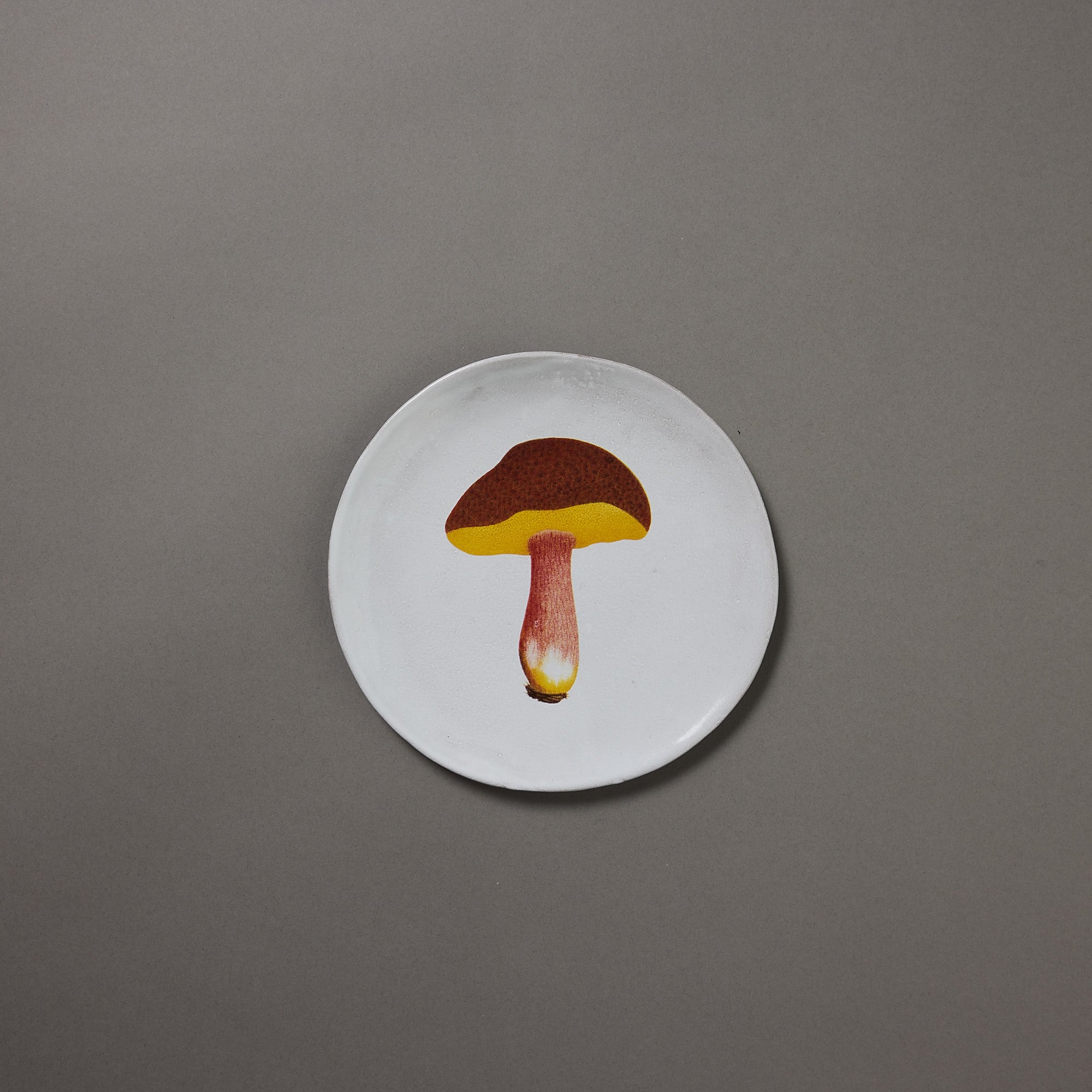 Astier de Villatte x John Derian | Plate | Bolet Chrysentere