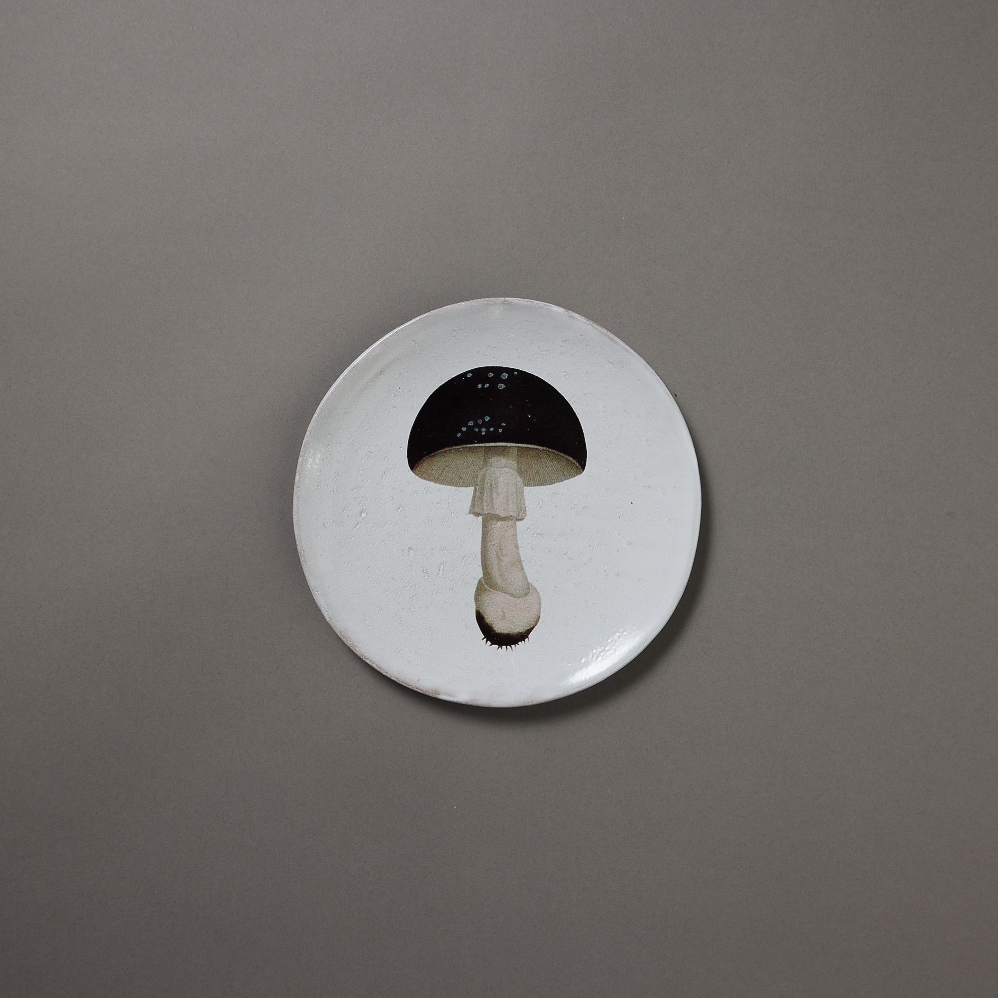 Astier de Villatte x John Derian | Plate | Agaric Fuligineux