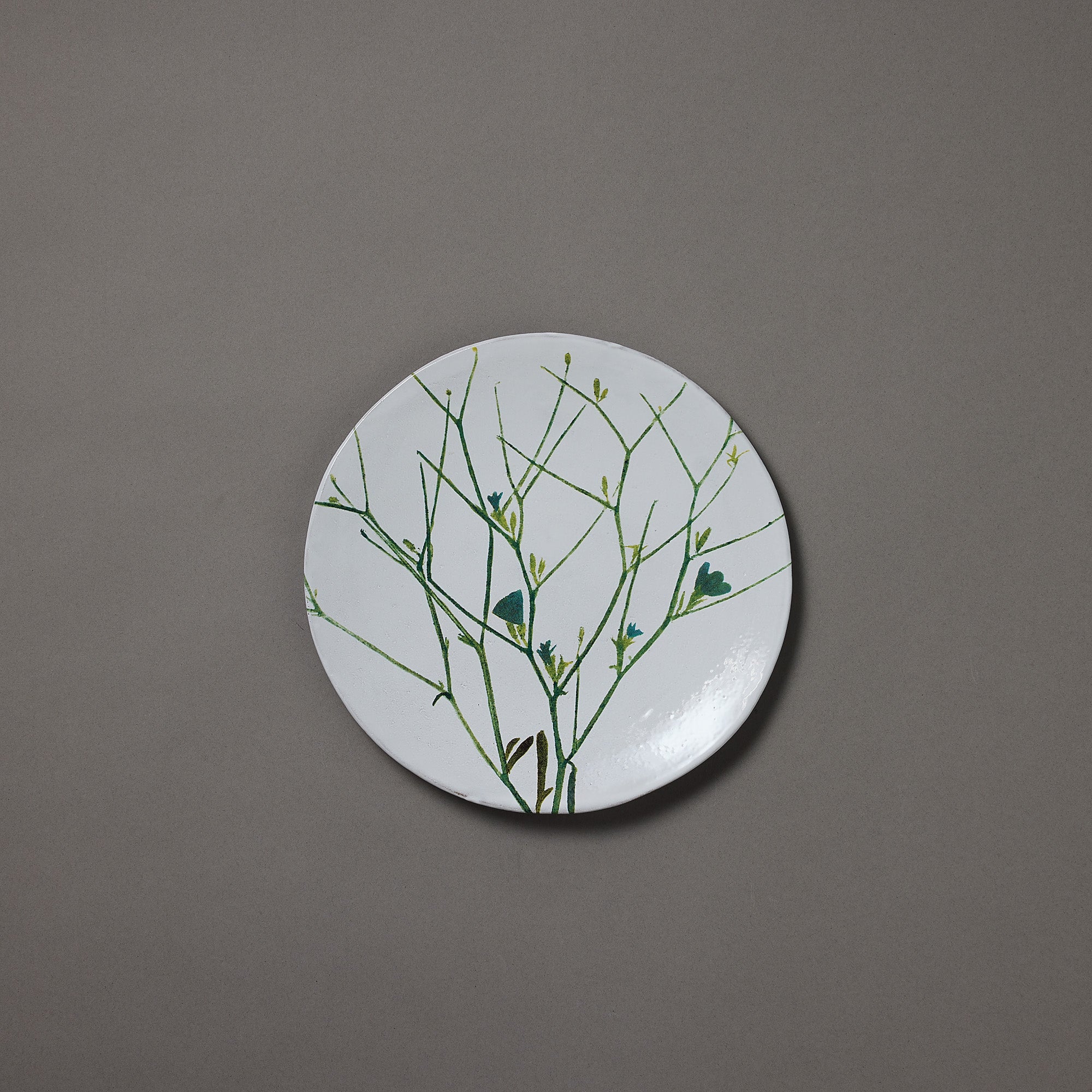 Astier de Villatte x John Derian | Plate | Cichorium