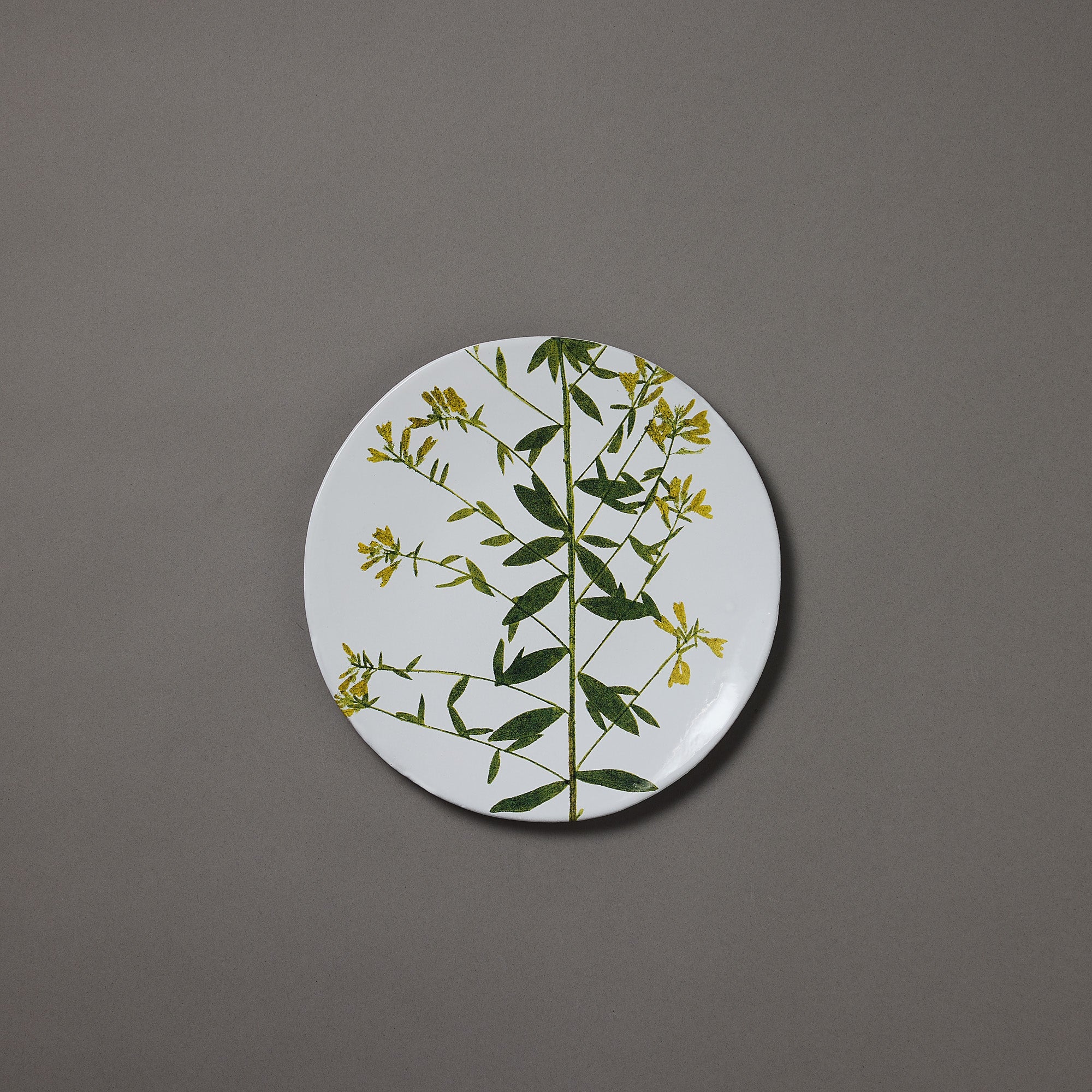 Astier de Villatte x John Derian | Plate | Genista