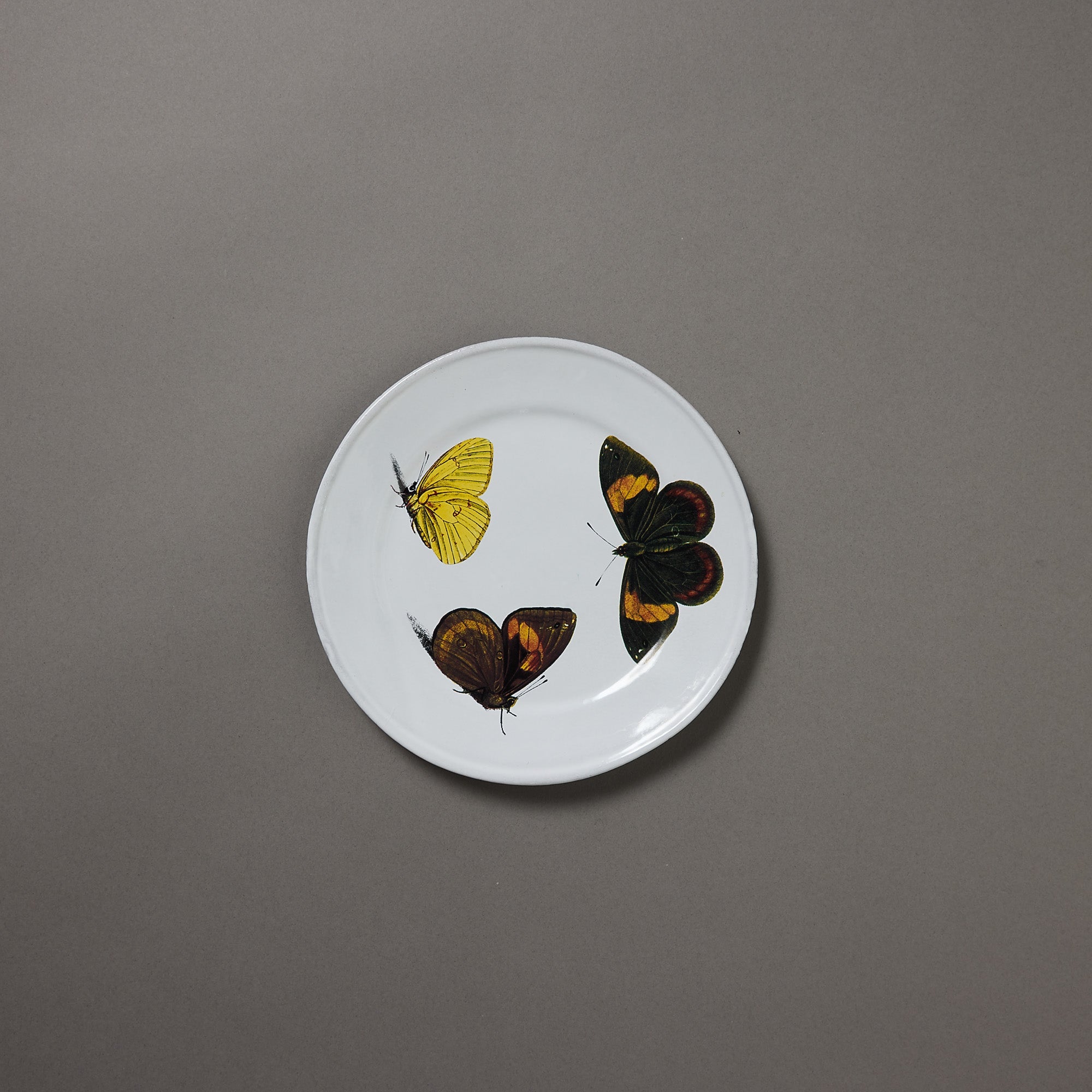 Astier de Villatte x John Derian | Plate | Golden Butterflies