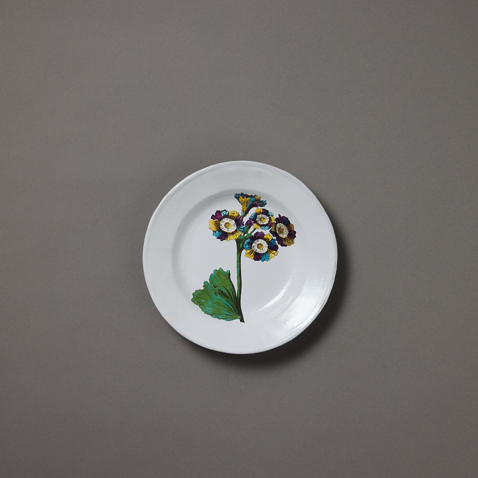 Astier de Villatte x John Derian | Plate | Lord Willoughbys Auricula