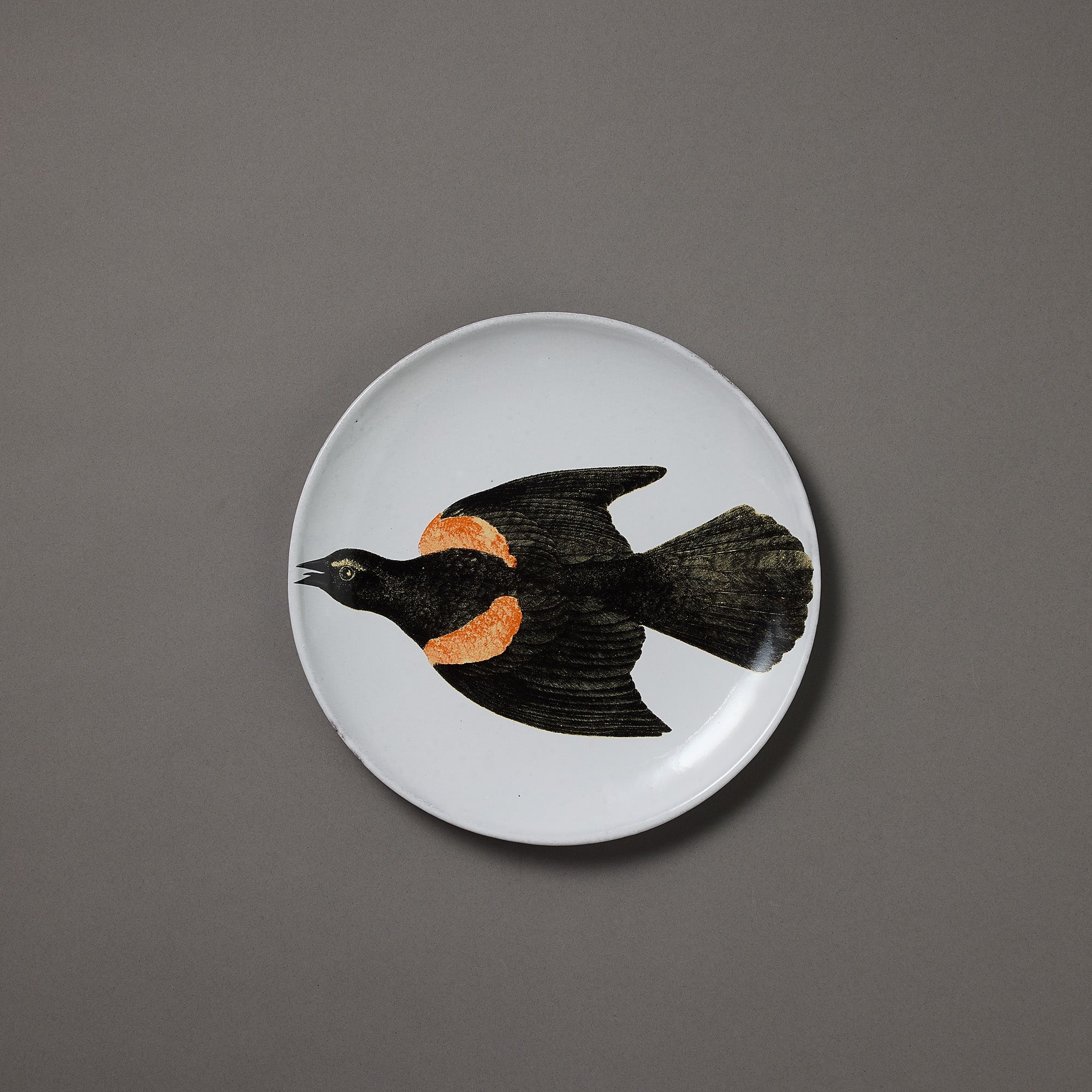 Astier de Villatte x John Derian | Plate | Starling