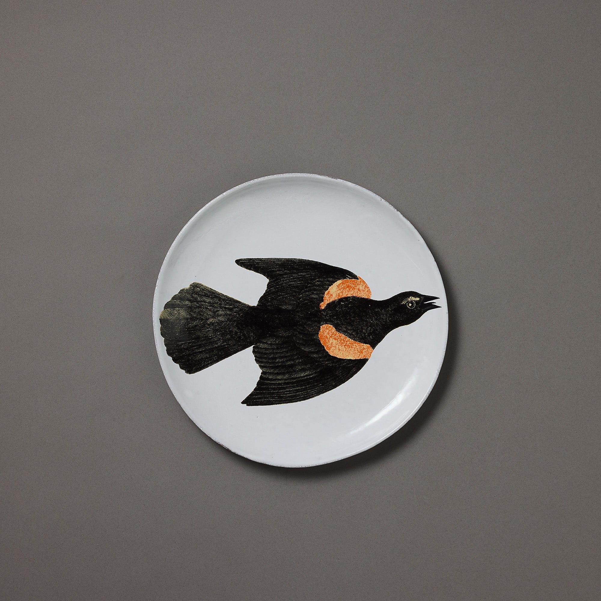 Astier de Villatte x John Derian | Plate | Starling