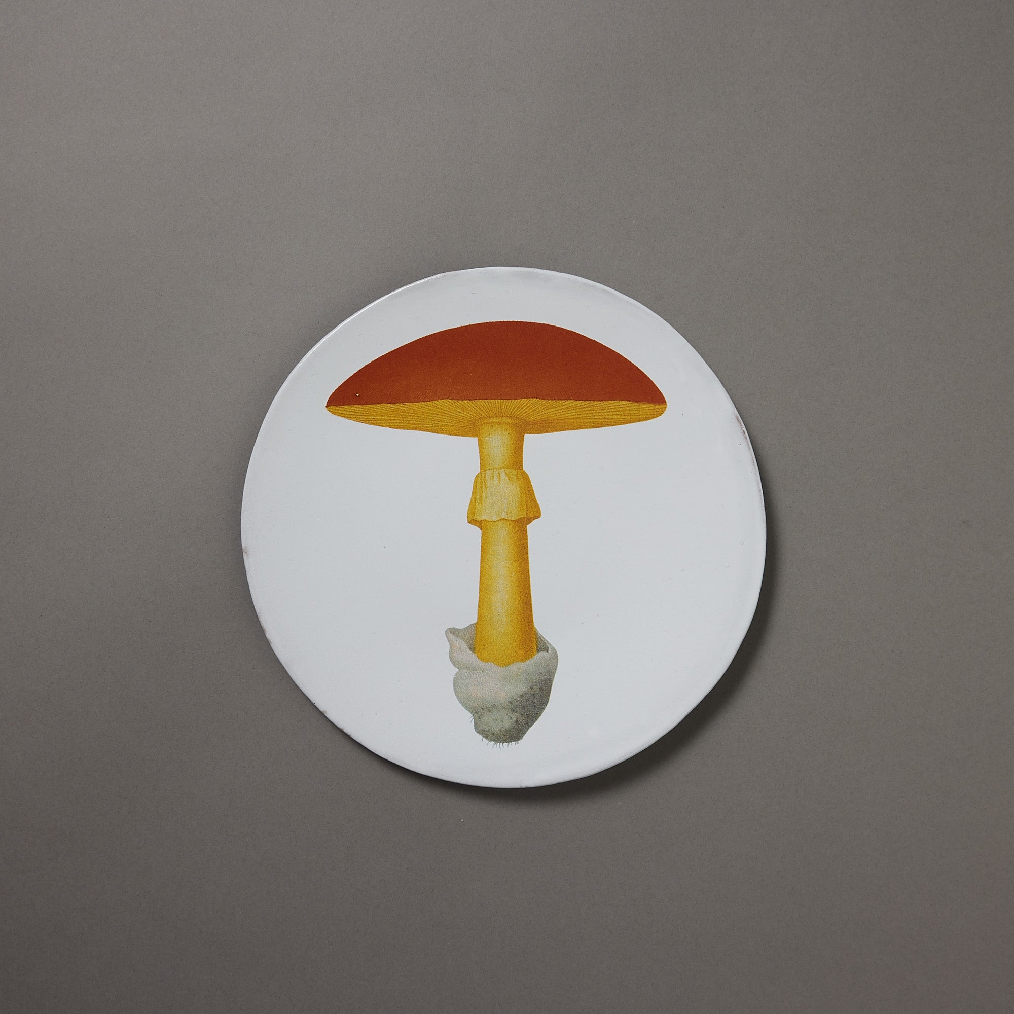 Astier de Villatte x John Derian | Plate | Yellow Agaric Oronge