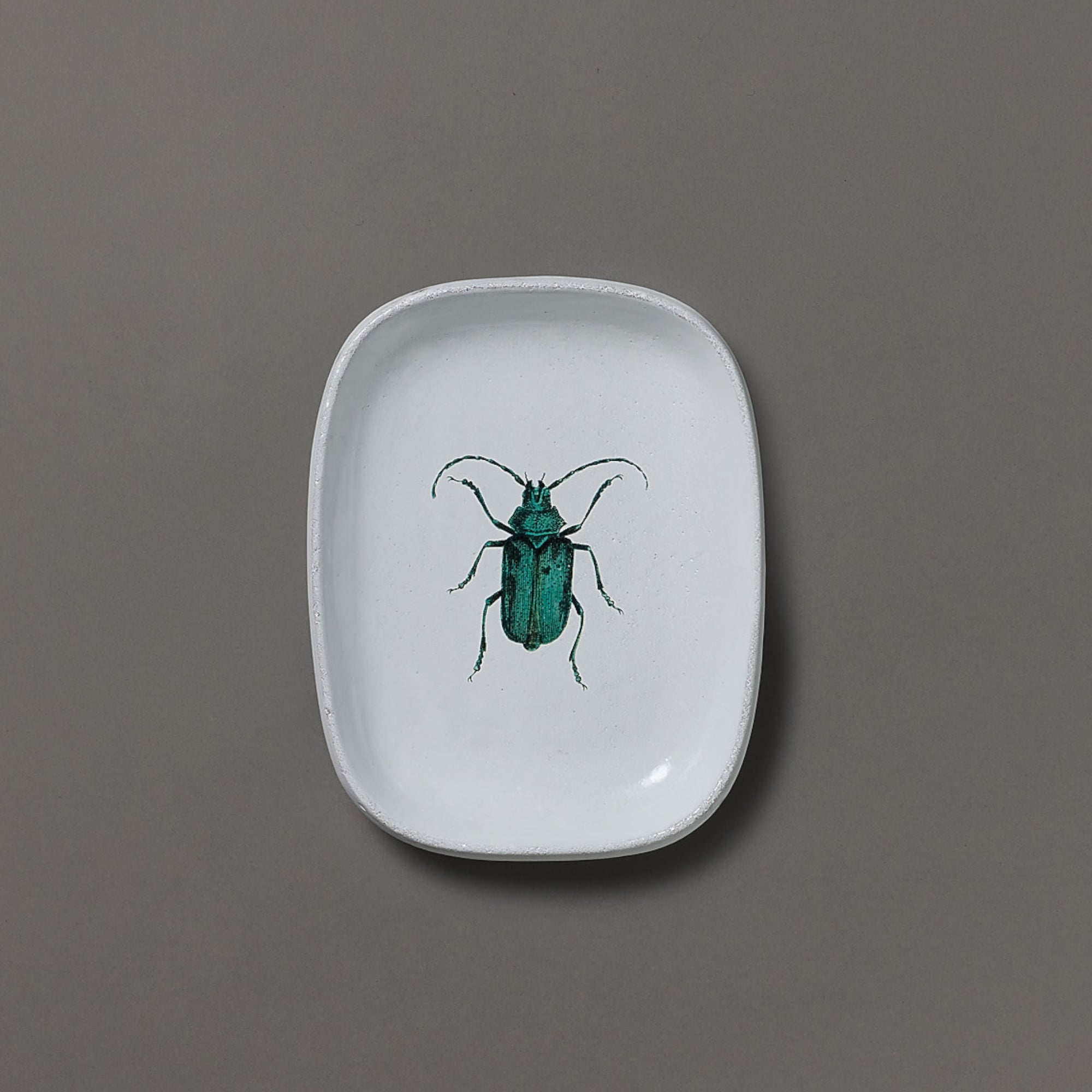 Astier de Villatte x John Derian | Platter | Green Insect