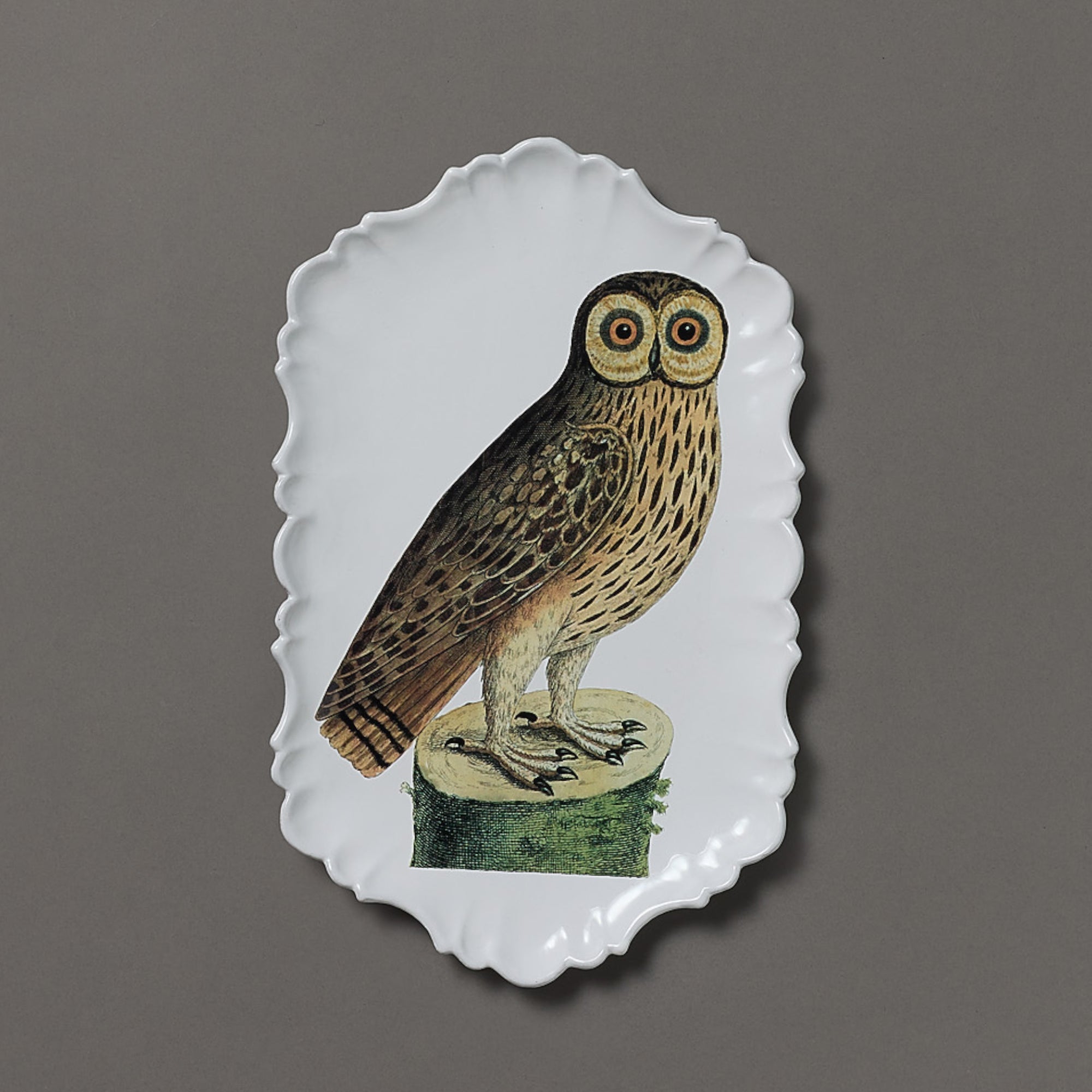 Astier de Villatte x John Derian | Platter | Owl