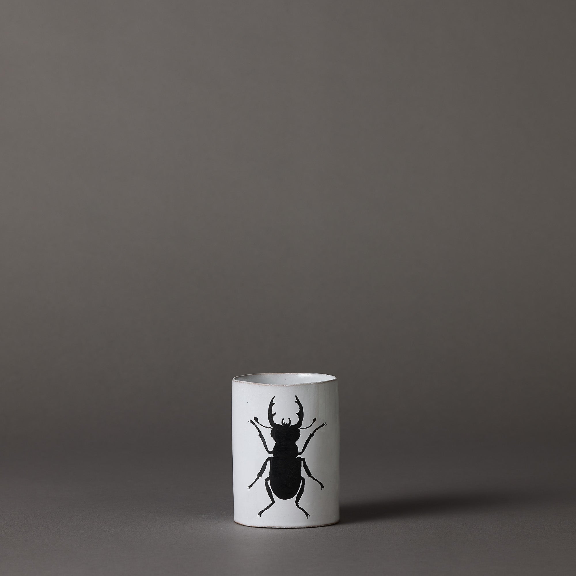 Astier de Villatte x John Derian | Vase | Beetle