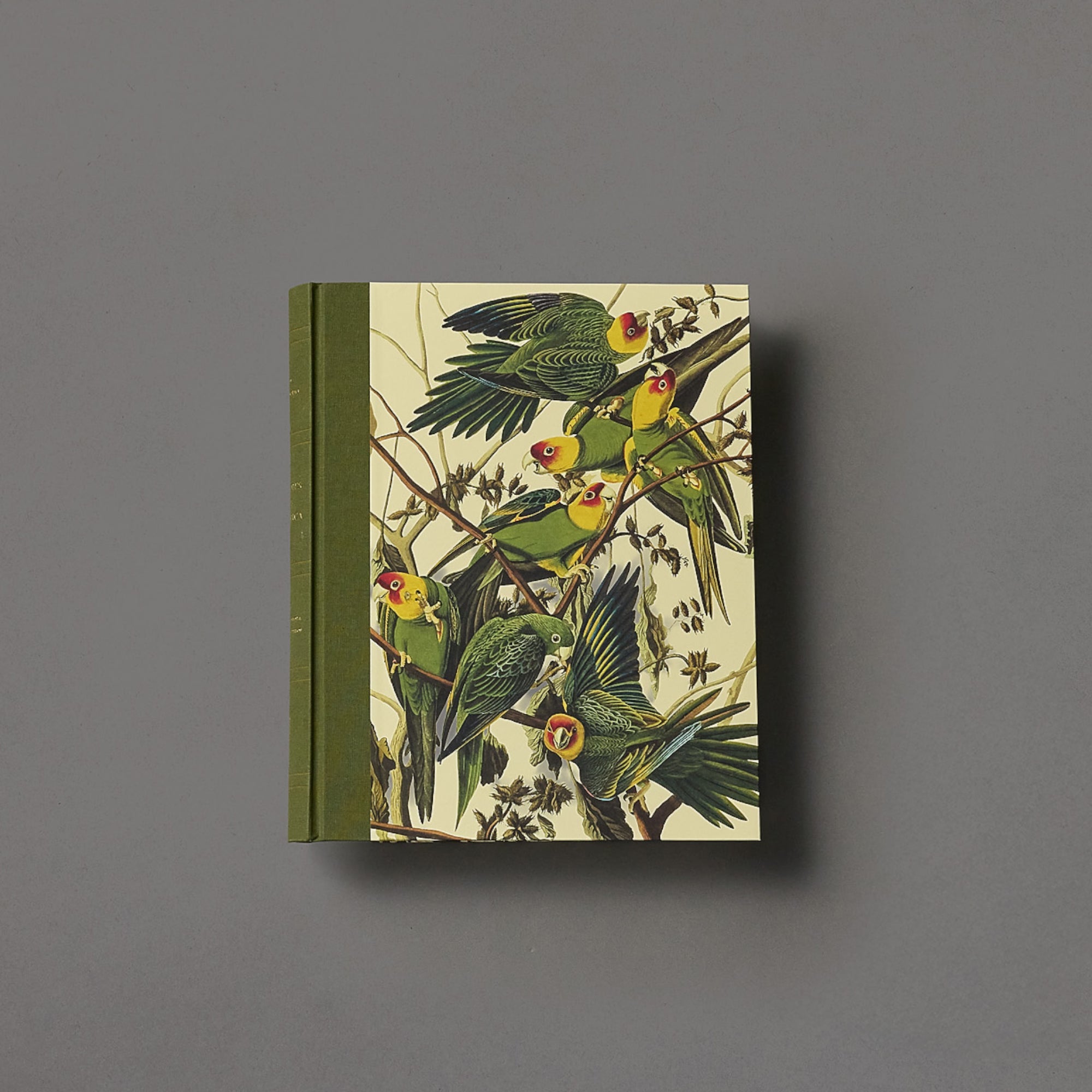 Audobon's Birds of America